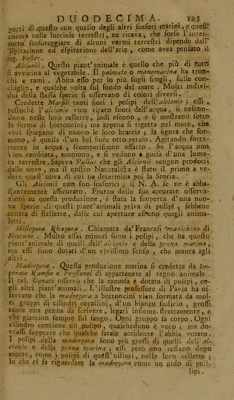 no.-ti di quefto ccn quello degli altri fosfori marini, .e quell' àncora colle lucciole terreftri, ne ricava, che forfè 1 inter- rotto fosforeggiare di alcuni vermi terreftri dipende dall' ifpirazione eli efpirazione dell’aria , come avea penfato il sìg. Fcjler. _ Alcìutiiì. Quefto piant’animale è quello che piu di Cuttt fi avvicina al vegetabile. Il palmato o manomarina ha tron- chi e rami . Abita elfo per lo più fugli fcogli, fulle con- chiglie, e qualche volta fui fondo del mare . Molti indivi- dui della ftefta fjiecie fi oftervano di colori diverfi. Credette Mai-fili tanti bori i polipi dell 'alcionio ; efti , toflochè l’alcionio vien tirato fuori dell’acqua, il nafcon- dono nelle loro cellette, indi efcono , e-fi inoltrano lotto la forma di bottoncini; ma appena fi rigetta pel mare, che così l’piegano di nuovo le loro braccia ; la figura for- mano, è quella d’un bel fiore otto-petalo. Agitando forte- mente in acqua , fcomparifconc affatto . Se l’acqua non \ ieri cambiata, muoiono, e fi vedono a guifa d’una luma- ca terreftre . Sapeva 'Pallas che gli Alcionii vengon prodotti dalle uov? , ma il noftro Naturalifta è ftato il primo à ve- dere quell’uova di cui ne determina poi la Storia. Gli Alcìonii non fon- fosforici \ il N. A. fe ne è abba- ftantemente afticurato. Frutto delie lue accurate ofterva- zioni su quella produzione, è Hata la fcoperta d’una nuo- va fpecie di quelli piant’animali priva di polipi , {ebbene ornata di ftellette, dalle cui aperture efeonp quegli anima- letti. Millepora fijcepera . Chiamata da’ Francefi 'manichino di Kettuno . Molto affai minori fono i polipi, che ha quefto piant’animale di quelli dell’alcionio e della penna marina, ma efti fono dotati d’un viviflimo fenfo , che manca agli altri. ' Madrepora . Quella produzione marina fi credette da Im- perato Hamfio e Pcyjfonel di appartenere al regno animale . Il cel, lionati olfervò che la ramofa è dotata di polipi , co- gli altri piant’animali . L’illuftre profeffbre di Pavia ha of- fervaro che la madrepora a bottoncini vien formata da mol- ti gruppi di cilindri corallini, d’un bianco fu die io , grofiì come una penna'da fcrivere, legati infieme. ftrettamente , e che giaccion fempre fui fango. Ogni gruppo fa corpo . Ogni cilindro contiene un polipo, qualcheduno è voto ; ma do- si raffi fupporre che qualche fatale accidente l’abbia votato. I polipi .dflla madrepora fono più groffi dj quelli de\V al- cionio e della penna marina ; efti però non rellaiio dopo morte, come i polipi di queft’ultimi, nelle loro cellette ; lo che ci fa riguardare la tnadrepura come un nido di polii lipi.