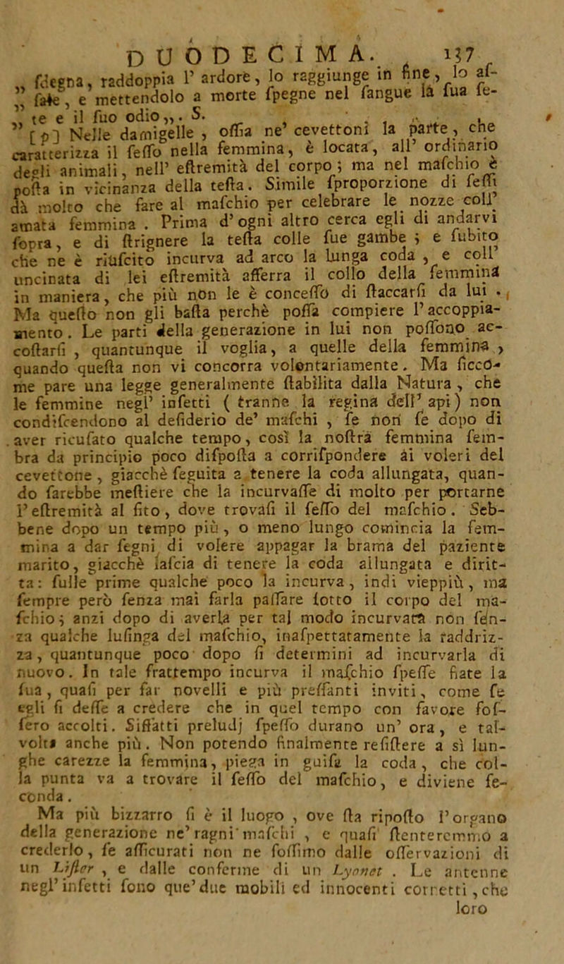 „ fdegna, raddoppia 1» ardore, lo raggiunge in fine., lo al- ” fa*e , e mettendolo a morte fpegne nel fangue là Tua lt- .. te e il fuo odio,,. S.  ■ * ■ . [PJ Nelle damigelle, offa ne cevettom la parte, che caratterizza il felTo nella femmina, è locata, all ordinano degli animali, nell’ eftremità del corpo; ma nel mafchio e polla in vicinanza della teda. Simile {proporzione di ferti dà molto che fare al mafchio per celebrare le nozze colf amata femmina . Prima d’ogni altro cerca egli di andarvi fopra, e di ftrignere la teda colle fue gambe ; e fubtto che ne è ritifcito incurva ad arco la Lunga coda , e coll uncinata di lei eftremità afferra il collo della femmina in maniera, che più non le è concerto di ftaccarfi da lui . Ma quello non gli balla perchè porti compiere P accoppia- mento. Le parti della generazione in lui non polTono ac- collarli , quantunque il voglia, a quelle della femmina , quando quella non vi concorra volontariamente. Ma liceo- me pare una legge generalmente {labilità dalla Natura , che le femmine negl’ infetti ( tranne la regina dell’ api) non condifcendono al defiderio de’ mafehi , fe non fe dopo di . aver ricufato qualche tempo, così la noftrà femmina fem- bra da principio poco difpofta a corrifpondere ài voleri del cevettone , giacché feguita a tenere la coda allungata, quan- do farebbe meftiere che la incurvarti di molto per portarne Peftremità al fito, dove trovafi il ferto del mafchio. Seb- bene dopo un tempo più , o meno lungo comincia la fem- mina a dar fegni di volere appagar la brama del paziente marito, giacché ialcia di tenere la coda allungata e dirit- ta: fulle prime qualche poco la incurva, indi vieppiù, ma Tempre però fenza inai farla paiìare lotto il corpo del ma- fchio; anzi dopo di averla per tal modo incurvarti non fdn- za qualche lufinga del mafchio, inafpettatamente la raddriz- za , quantunque poco dopo li determini ad incurvarla di nuovo. In tale frattempo incurva il mafchio fpefle fiate la lua, quali per far novelli e più preftanti inviti, come fe egli fi derte a credere che in quel tempo con favore fof- lero accolti. Siffatti preludj fpelfo durano un’ ora, e tal- volt» anche più. Non potendo finalmente relìftere a sì lun- ghe carezze la femmina, piega in guifii la coda, che col- la punta va a trovare il ferto del mafchio, e diviene fe- conda . Ma più bizzarro lì è il luogo , ove (la riporto l’organo della generazione ne’ragni mafehi , e quafi denteremmo a crederlo, fe affìcurati non ne fortimo dalie ortervazioni di un htjler , e dalle conferme di un Lynnet . Le antenne negl’infetti fono que’due mobili ed innocenti corretti,che