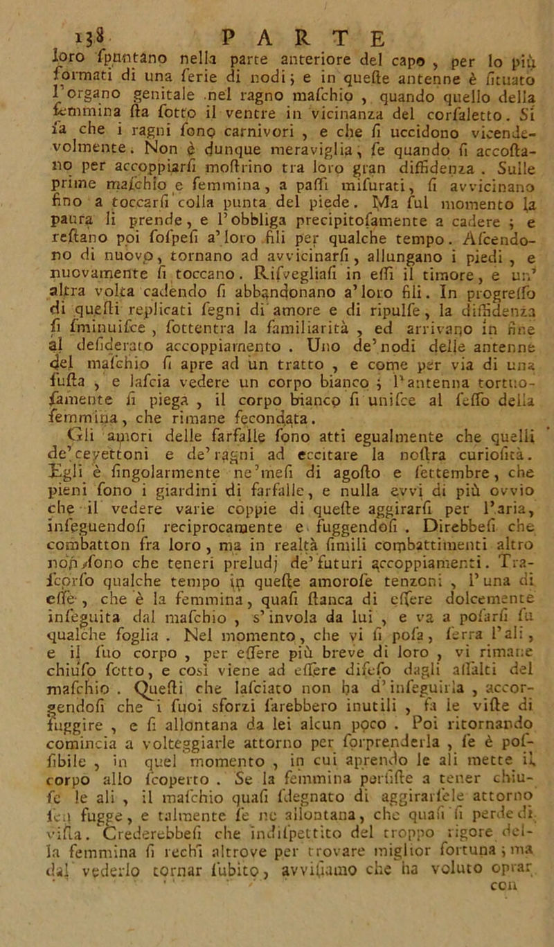 loro fpmitano nella parte anteriore del capo &gt; per lo più formati di una ferie di nodi; e in quelle antenne è fituato l'organo genitale nel ragno mafchio , quando quello della femmina (la fotto il ventre in vicinanza del corfaletto. Si la che i ragni fono carnivori , e che fi uccidono vicende- volmente. Non è dunque meraviglia, fe quando fi accoda- no per accoppiarli modrino tra loro gran diffidenza . Sulle prime mafchio e femmina, a patti mifurati, fi avvicinano fino a toccarli'colla punta del piede. Ma fui momento la paura li prende, e l’obbliga precipitofamente a cadere ; e reftano poi fofpefi a’loro fili per qualche tempo. Accendo- no di nuovo, tornano ad avvicinarli, allungano i piedi , e nuovamente fi toccano. Rifvegliali in etti il timore, e un’ altra volta cadendo fi abbandonano a’loro fili. In progretto di quedi replicati fegni di amore e di ripulfe, la diffidenza fi Iminuifce , fottentra la familiarità , ed arrivano in fine al deficierato accoppiamento. Uno de’nodi delle antenne 4el mafchio fi apre ad un tratto , e come per via di una fuda , e iafcia vedere un corpo bianco ; l’antenna tortuo- famente lì piega , il corpo bianco fi unifce al felfo della femmina, che rimane fecondata. Gli atpori delle farfalle fono atti egualmente che quelli de’ceyettoni e de’ragni ad eccitare la nodra curiofità. Egli è fingolarmente ne’mefi di agodo e lettembre, che pieni fono i giardini di farfalle, e nulla avvi di più ovvio che il vedere varie coppie di quede aggirarfi per l’aria, infeguendofi reciprocamente e fuggendoli . Direbbe!! che combatton fra loro , ma in realtà limili combattimenti altro non .dono che teneri preludj de’futuri accoppiamenti. Tra- lcprfo qualche tempo in quede amorofe tenzoni , l’una di ette-, che è la femmina, quafi danca di efiere dolcemente infeguita dal mafchio , s’invola da lui , e va a polari! fu qualche foglia . Nel momento, che vi fi pofa, ferra l’ali, e il luo corpo , per effere più breve di loro , vi rimane chiufo fatto, e cosi viene ad elfere diftfo dagli alialei del mafchio . Quedi che Iafciato non ha d’infeguirla , accor- gendoli che i fuoi sforzi farebbero inutili , fa le vide di fuggire , e fi allontana da lei alcun ppco . Poi ritornando comincia a volteggiarle attorno per forprenderla , fe è pol- fibile , in quel momento , in cui aprendo le ali mette il» corpo allo feoperto . Se la femmina perfide a tener chiu- fe le ali , il mafchio quafi (degnato di aggirartele attorno i'cp fugge, e talmente le ne ailontana, che quaii li perde di villa. Crederebbe!! che ìndil'pettito del troppo ligore del- la femmina fi rechi altrove per t rovare miglior fortuna ; ma dal vederlo cornar Cubito, avvitiamo che ha voluto oprar  ' con