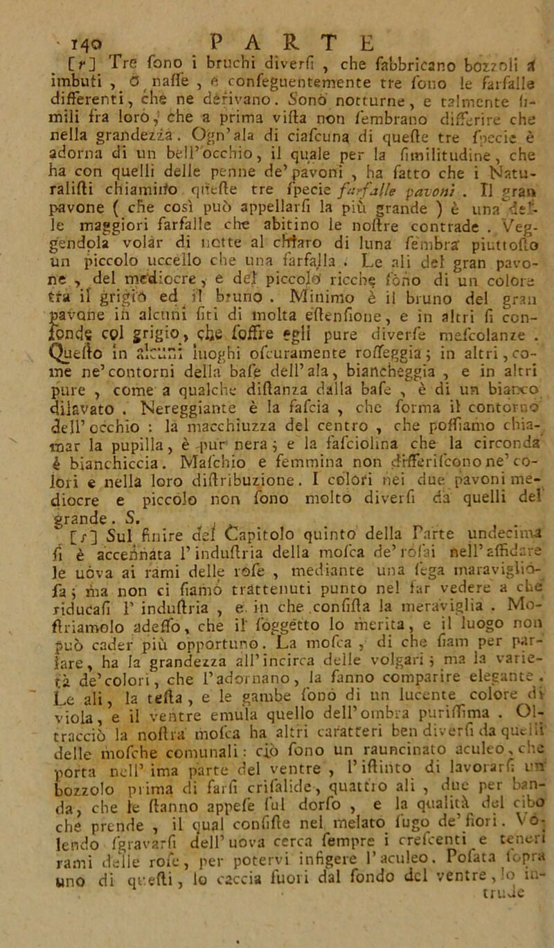 O] Tre fono i bruchi diverfi , che fabbricano bozzoli A imbuti ,. 0 naffé , e confeguentemente tre fono le farfalle differenti, che ne derivano. Sonò notturne, e talmente li- mili fra loro,: che a prima vifta non fembrano differire che nella grandezza. Ogn’ala di ciafcuna di quelle tre fbecie è adorna di un bell’occhio, il quale per la fimilitudine, che ha con quelli delle penne de’pavoni , ha fatto che i Natu- ralifti chiamato quelle tre fpecie farfalle pavoni . Il gran pavone ( che così può appellarfi la più grande ) è una rìe.- le maggiori farfalle che abitino le liofile contrade . Veg- gendolìL volar di nette al chiaro di luna fembra piuttofto un piccolo uccello che una farfalla . Le ali del gran pavo- ne , del mediocre, e del piccolo’ ricche fono di un colore tra il grigio ed il bruno . Minimo è il bruno del gran pavone ih alcuni lìti di molta eflenfione, e in altri fi ccn- jtbnds col grigio, che fertile egli pure divede mefcolanze . Quello in luoghi ofeuramente rolfeggia ; in altri, co- me ne’contorni della baie dell’ala, biancheggia , e in altri pure , come a qualche dillanza dalla bafe , è di un bianco dilavato . Nereggiante è la fafeia , che forma il contorno dell’occhio : la macchiuzza del centro , che polliamo chia- mar la pupilla, è -pur nera ; e la fafciohna che la circonda é bianchiccia. Mafchio e femmina non cHfferifcono ne’co- lori e nella loro diftribuzione. I colori nei due pavoni me- diocre e piccolo non fono molto diverfi da quelli del grande. S. [r] Sul finire del Capitolo quinto della Parte undecima fi è accennata l’induflria della mofica de’rófiai nell’affidare le uòva ai rami delle réfe , mediante una fega rnaraviglio- fa; ma non ci damò trattenuti punto ne! far vedere a che riducali P indufiria , e. in che .confida la meraviglia . Mo- firiamolo adeffo, che il' fógge'tto lo merita, e il luogo non può cader più opportuno. La mofea , di che fiam per par- lare, ha la grandezza all’incirca delle volgari} ma la varie- tà de’colori, che Padornano, la fanno comparire elegante. Le ali, la tefta , e le gambe fonò di un lucente colore di viola, e il ventre emula quello dell’oinbia puriffima . Ol- tracciò la noftra molla ha altri caratteri ben diverfi da quelli delle mo fiche comunali: ciò fono un rauncinato aculeo, che porta nell’ima parte del ventre , rifinito di lavorarli un bozzolo prima di farli crilàlide, quattro ali , due per ban- da, che le fiatino appefe fui dorfo , e la qualità del cibo che prende , il qual confifte nel melato fugo de’fiori. Vo- lendo fg lavar fi d'eli’uova cerca fempre i crefcenti e teneri rami delle rote, per potervi infigere l’aculeo. Pofata iopra uno di quelli, lo caccia fuori dal fondo del ventre, lo in- trude