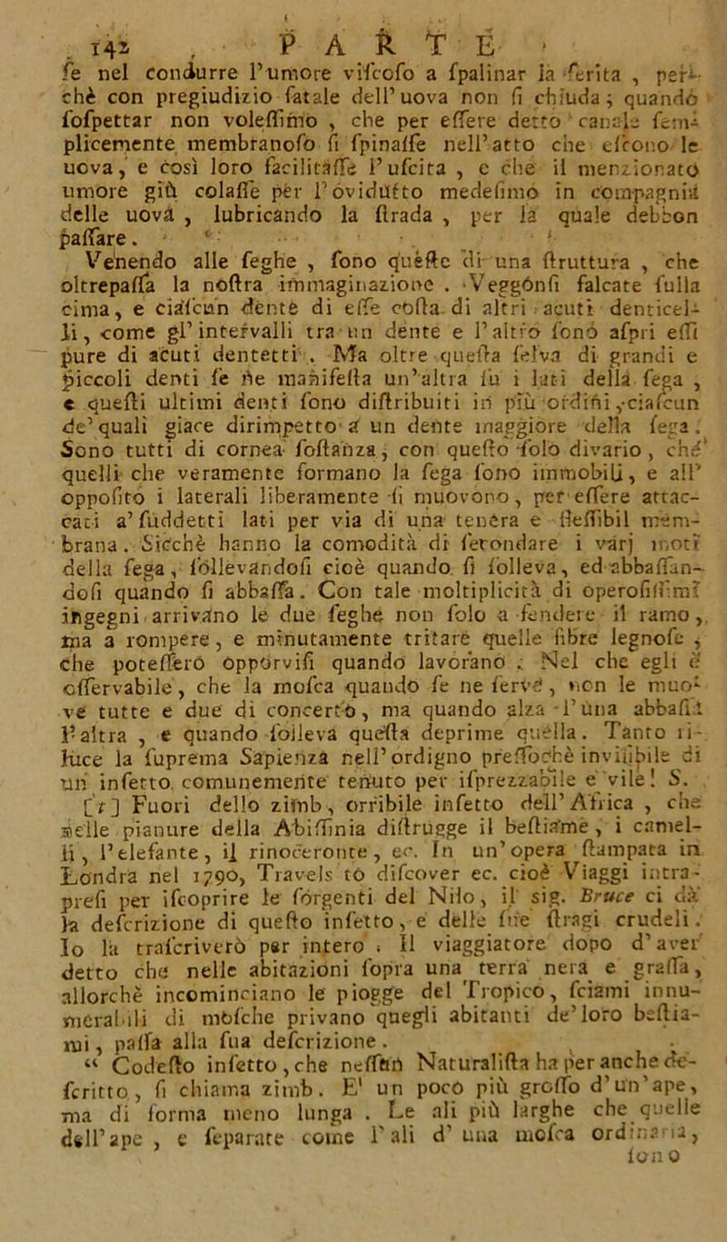 i4s , PARTE* fe nel condurre Tumore vifcofo a fpalinar la Arita , per-- chè con pregiudizio fatale dell’uova non fi chiuda; quando fofpettar non volettimo , che per elfere detto canal.; fem-ì plicemente membranofo fi fpinaife nell’atto che cleono le uova, e così loro facilitane l’ufcita , e che il menzionato umore giù colafie per Tovidutto medefimo in compagnia delle uovà , lubricando la Itrada , per la quale debbon pattare. ‘ Venendo alle feghe , fono quelle di una ftruttufa , che oltrepatta la noftra immaginazione . Veggónfi falcate fulla cima, e ciàlcun dente di effe coda, di altri acuti denticel- li, come gl’intervalli trami dente e l’altro fonò afpii e(Tt pure di acuti dentetti . Ma oltre quella felva di grandi e piccoli denti le ne maàifella un’altra fu i lati della fega , e quelli ultimi denti fono difUribuiti in più ordini ,-cialcun de’quali giace dirimpetto a un dente maggiore della lega. Sono tutti di cornea' foltahza, con quello dolo divario, chè‘ quelli che veramente formano la fega fono immobili, e all’ oppofito i laterali liberamente li muovono, per effere attac- cati a’fuddettì lati per via di una tenera e {Allibii mem- brana. Sicché hanno la comodità di fecondare i varj moti della fe ga, lòllevandofi cioè quando fi lòlleva, ed abbaffan- dofi quando fi abballa. Con tale moltiplicità di operofittimì ingegni arrivano le due feghe non folo a fendere il ramo, ina a rompere, e minutamente tritare quelle fibre legnofe , che potettero opporvifi quando lavorano . Nel che egli è olfervabile, che la mofea quando fe ne fervè, non le muo- ve tutte e due di concerto, ma quando alza l’ùna abbattè l’altra , e quando fòilevà quella deprime quella. Tanto ìi- huce la fuprema Sapienza nell’ordigno prellòohè invifibile di un infetto comunemente tenuto per ifprezzaoile e vile! S. fir] Fuori dello zitnb, orribile infetto dell’Africa , che selle pianure della Abittinia difìrugge il bettia’me , i camel- li, l’elefante, il rinoceronte, ec. In un’opera flampata in Londra nel 1790, Travels tó difeover ec. cioè Viaggi i;itr3- prefi per ifeoprire le {ergenti del Nilo, il sig. Bruce ci da la deferizione di quello infetto, e delle lire filasi crudeli. Io la tralcriverò par intero ; Il viaggiatore dopo d’aver detto che nelle abitazioni l'opra una terra nera e gratta, allorché incominciano le piogge del Tropico, feiami innu- mCral'ili di mbfche privano quegli abitanti de’loro bellia- ìui, patta alla fua deferizione . ^ « Codello infetto, che nettflrt Naturalilla ha per anche de- fcritto , fi chiama zitnb. E1 un poco più gretto d’un’ape, ma di forma meno lunga . Le ali più larghe che quelle dell’ape, e feparate come Tali d'una mofea ordinaria, lono