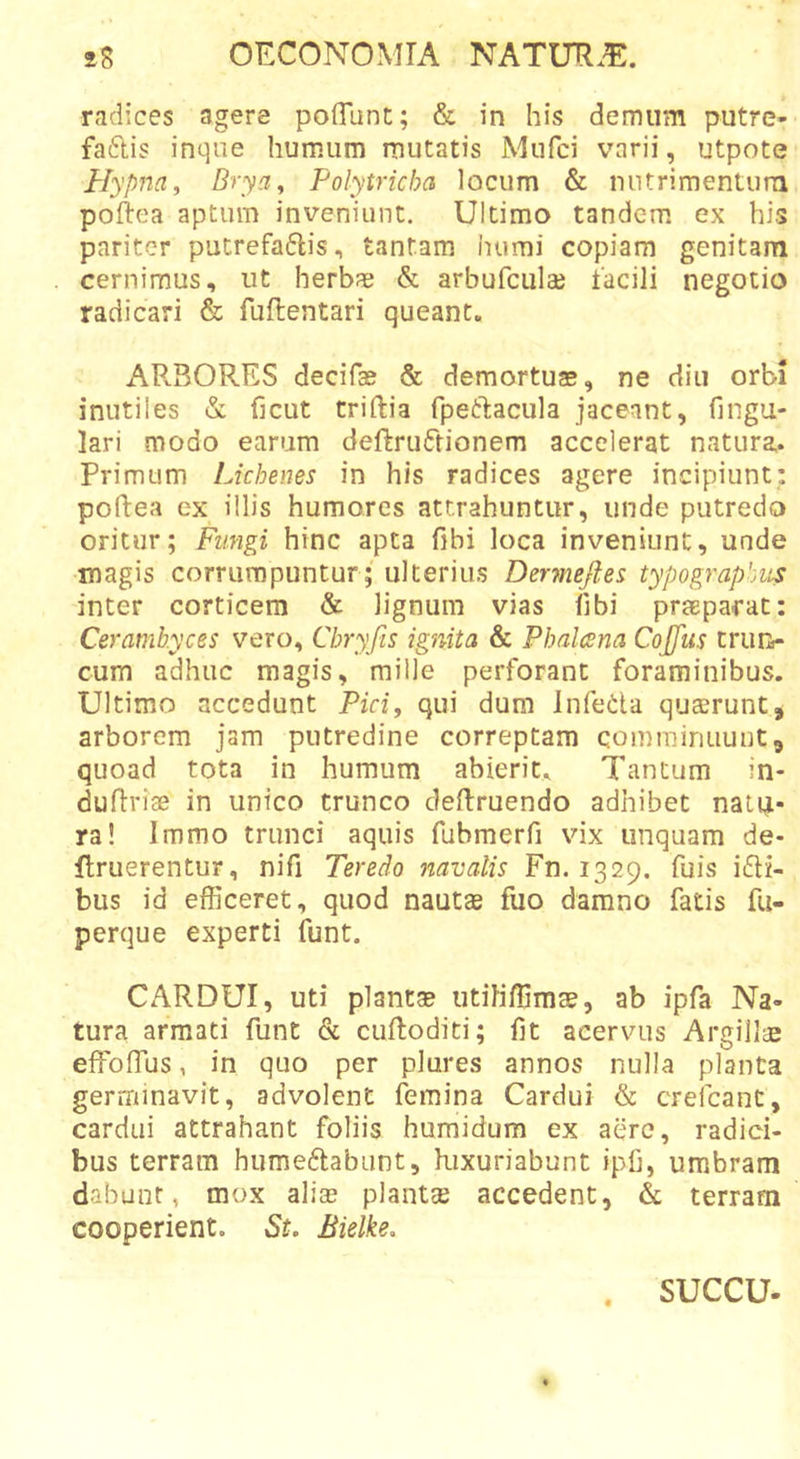 radices agere poflunt; &amp; in his demum putre- faftis inque humum mutatis Mufci varii, utpote Hypna, Drya^ Polytricha locum &amp; nntrimentutn poftea aptum inveniunt. Ultimo tandem ex his pariter putrefa6lis, tantam humi copiam genitam cernimus, ut herbas &amp; arbufculae facili negotio radicari &amp; fuftentari queant. AR.BORES decifae &amp; demortuas, ne diu orbi inutiles &amp; ficut triftia fpetdacula jaceant, fingu- lari modo earum deftruiftionem accelerat natura- Primum Lichenes in his radices agere incipiunt: poftea ex illis humores attrahuntur, unde putredo oritur; Fungi hinc apta fibi loca inveniunt, unde magis corrumpuntur; ulterius Dermejles typograpbiis inter corticem &amp; lignum vias libi praeparat: Ceramb.yces vero, Cbryfis ignita &amp; Phalcsna Cojfus tniUr cum adhuc magis, mille perforant foraminibus. Ultimo accedunt Pid, qui dum InfeCla quaerunt, arborem jam putredine correptam comminuunt, quoad tota in humum abierit^ Tantum in- duflrise in unico trunco dellruendo adhibet natu- ra! Immo trunci aquis fubmerfi vix unquam de- flruerentur, nifi Teredo navalis Fn. 1329. fuis idi- bus id efficeret, quod nautse fuo damno fatis fu- perque experti funt. CARDUI, uti plantas utiKffimse, ab ipfa Na- tura armati funt &amp; culloditi; Iit acervus Argillas effoffius, in quo per plures annos nulla planta germinavit, advolent femina Cardui &amp; crefcant, cardui attrahant foliis humidum ex aere, radici- bus terram hiimedfabunt, luxuriabunt ipfj, umbram dabunt, mox aliae plantae accedent, &amp; terram cooperient. St, Bielke. succu.