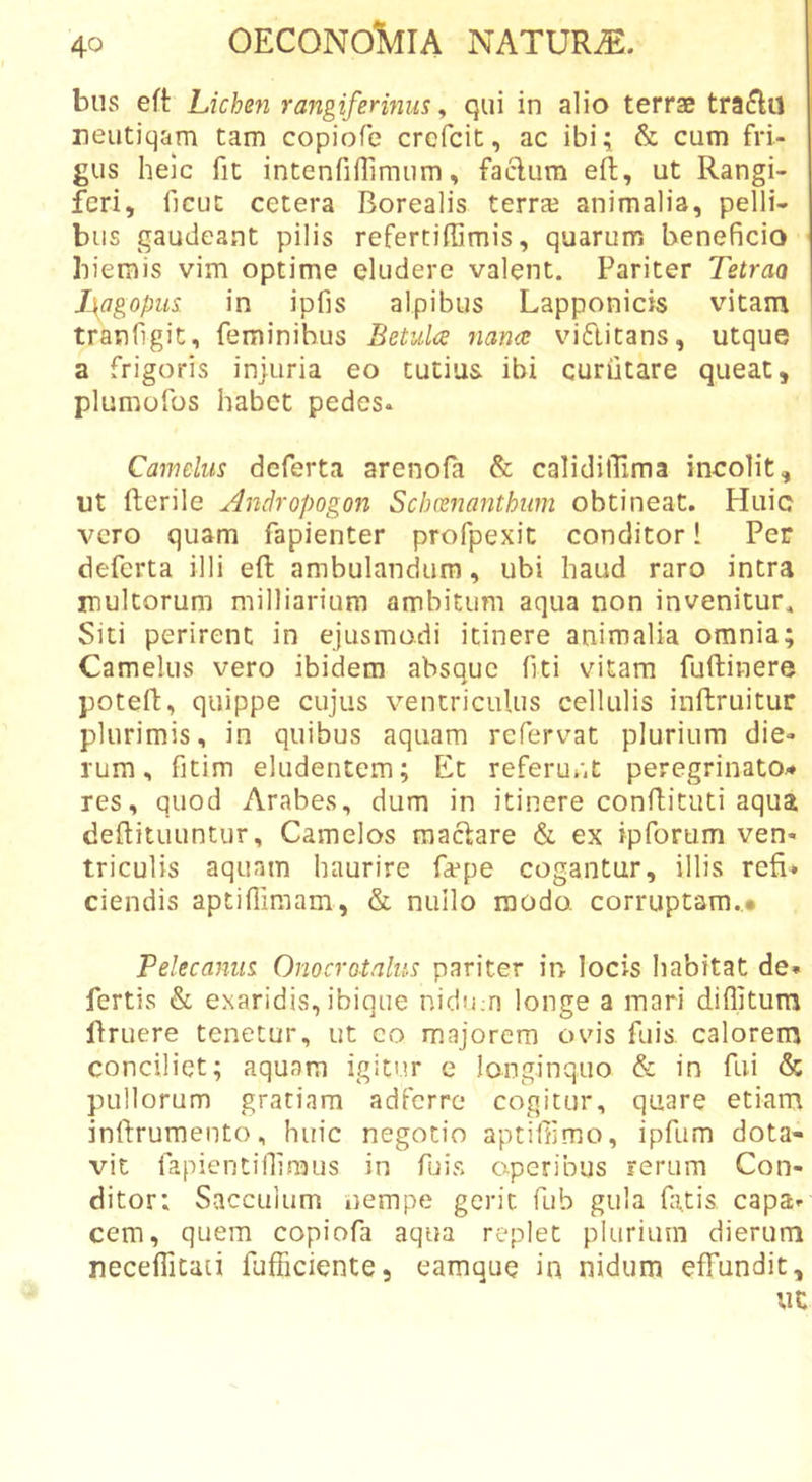 bus eft Lichen rajigiferinus, qui in alio terrae traflu neutiqam tam copiofe crcfcit, ac ibi; &amp; cum fri- gus heic fit intenCiflimiim, facium eft, ut Rangi- feri, ficuc cetera Borealis terrae animalia, pelli- bus gaudeant pilis referciffimis, quarum beneficio hiemis vim optime eludere valent. Pariter Tetrao L\agopus. in ipfis alpibus Lapponicis vitam tranfigit, feminibus Betula nana vi6litans, utque a frigoris injuria eo tutius ibi curiitare queat, plumofos habet pedes* Camelus deferta arenofa &amp; calidilTima incolit, ut fterile Andropogon Scbcenanthum obtineat. Huic vero quam fapienter profpexit conditor 1 Per deferta illi efl ambulandum, ubi haud raro intra inultorum milliarium ambitum aqua non invenitur. Siti perirent in ejusmodi itinere animalia omnia; Camelus vero ibidem absque fiti vitam fuftinere potefl, quippe cujus ventriculus cellulis inftruitur plurimis, in quibus aquam refervat plurium die- rum, fitim eludentem; Et referunt peregrinato^ res, quod Arabes, dum in itinere conflituti aqua deftituuntur. Camelos maciare &amp; ex ipforum ven- triculis aquam haurire fa:‘pe cogantur, illis refi^ ciendis aptifiimam, &amp; nullo modo, corruptam..# Pelecanus Onocrotalus pariter in- locis habitat de- fertis &amp; exaridis, ibique nidum longe a mari diflitum flruere tenetur, ut co majorem ovis fuis calorem conciliet; aquam igitur e longinquo &amp; in fui &amp; pullorum gratiam adferre cogitur, quare etiam inftrumento, huic negotio aptifiimo, ipfum dota- vit fapientifiiraus in fuis operibus rerum Con- ditor: Sacculum nempe gerit fub gula fatis capa- cem, quem copiofa aqua replet plurium dierum neceflitaii fufficiente, eamque in nidum effundit, uc