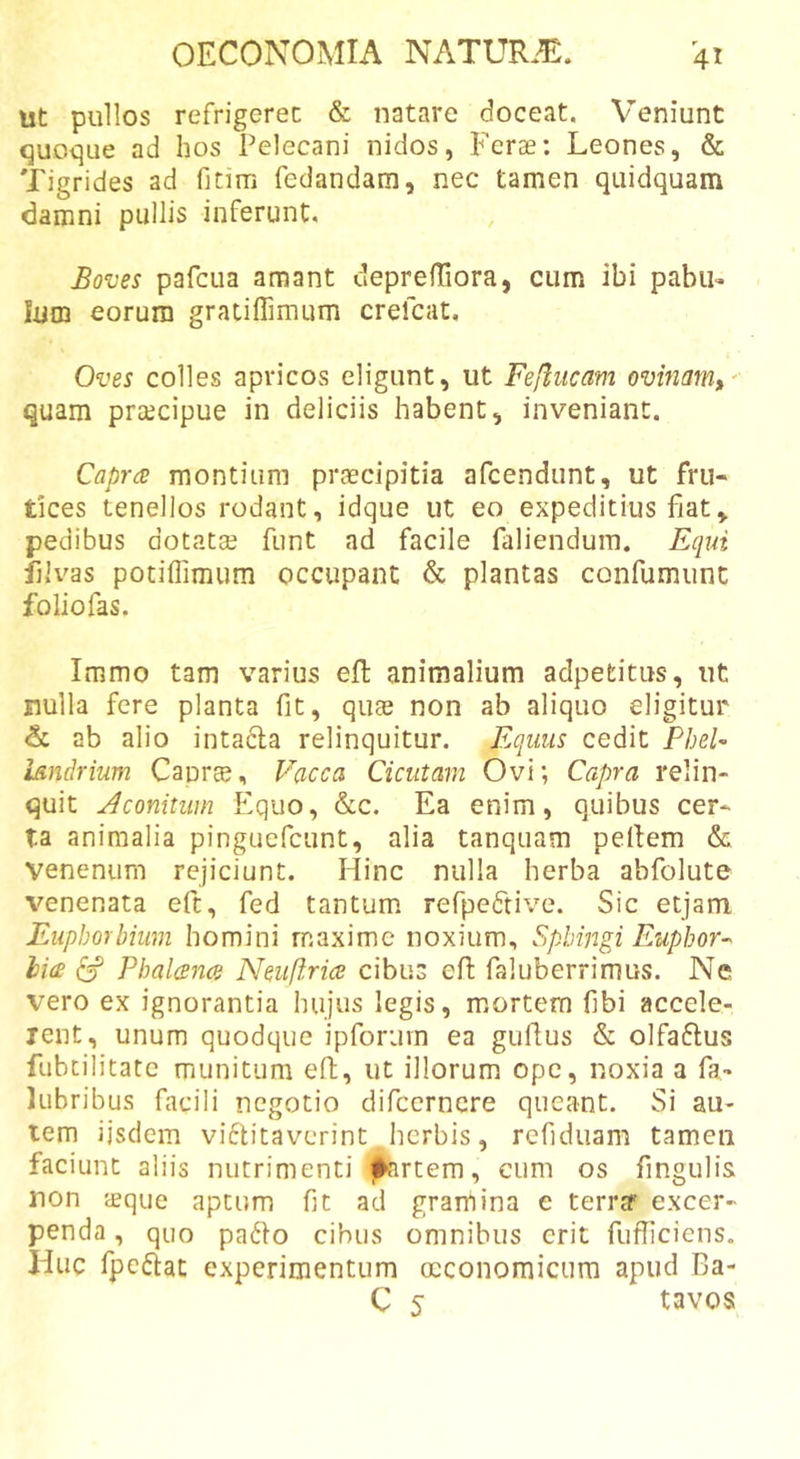 ut pullos refrigeret &amp; natare doceat. Veniunt quoique ad hos Pelecani nidos, Feras: Leones, &amp; Tigrides ad fitim fedandam, nec tamen quidquam damni pullis inferunt. Boves pafcua amant cleprefTiora, cum ibi pabu- Ium eorum gratiflimum crefcat. Oves colles apricos eligunt, ut Fefliicam ovinm,' quam praecipue in deliciis habent, inveniant. Capra montium praecipitia afcendunt, ut fru- tices tenellos rodant, idque ut eo expeditius fiat, pedibus dotatae funt ad facile fallendum. Equi iih^as potilfimum occupant &amp; plantas confumunt foliofas. Immo tam varius eft animalium adpetitus, ut nulla fere planta fit, quae non ab aliquo eligitur &amp; ab alio intada relinquitur. Equus cedit PheU iandrium CanrEe, Vacca Cicutam Ovi; Capra relin- quit Jconitum Equo, &amp;c. Ea enim, quibus cer- ta animalia pinguefcunt, alia tanqiiam pellem &amp; venenum rejiciunt. Hinc nulla herba abfolute venenata eft, fed tantum refpeftive. Sic etjam, Euplmbhim homini maxime noxium, Sphingi Euphor-^ hia ^ Phalana Neuftrice cibus efl faluberrimus. Ne vero ex ignorantia hujus legis, mortem fibi accele- rent, unum quodque ipforuvn ea gtifus &amp; olfaflus fiibcilitate munitum eft, ut illorum ope, noxia a fa- lubribus facili negotio difccrncre queant. Si au- tem iisdem viftitaverint herbis, refiduam tamen faciunt aliis nutrimenti partem, cum os fingulis non leque aptum fit ad gramina e terrjf excer- penda , quo pa61o cibus omnibus erit fuflicicns. Huc fpeftat experimentum oeconomicum apud Ba- C 5 tavos