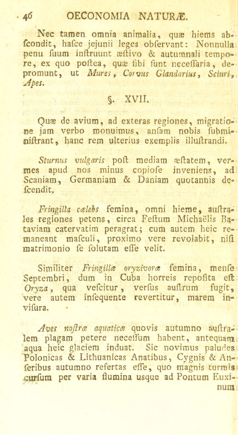 Nec tamen omnia animalia, qu® hiems ab- fcondic, hafce jejunii leges obfervant: Nonnulla penu fuum inftruunt £eftivo &amp; autumnali tempo- re, ex quo poftea, quGe libi funt neceflaria, de- promunt, ut Mures, Corvus Glandarius, Sciuri, ^pes. §. xvir. Quae de avium, ad exteras regiones, migratio-- ne jam verbo monuimus, anfam nobis fiibmi-- oiftrant, hanc rem ulterius exemplis illuflrandi. Sturnus vulgaris pofl: mediam ?Efl:atem, ver- mes apud nos minus copiofe inveniens, ad Scaniam, Germaniam &amp; Daniam quotannis de- fcendit. Fringilla caelebs femina, omni hieme, aiifira- 3es regiones petens, circa Felium Michaelis Ba-- taviara catervatim peragrat; cum autem heic re-- maneant mafculi, proxim.o vere revolabit, nili matrimonio fe folutam elTe velit. Similiter Fringilla oryzivora femina, menfe- Septembri, dum in Cuba horreis repofita efl: Oryza, qua vefcitur, verfus auRrum fugit, vere autem infequente revertitur, marem in- vifura. Avss nojlra aquatica quovis autumno auRfa-- lem plagam petere necelfum habent, antequam ‘aqua heic glaciem induat. Sic novimus paludes- Polonicas &amp; Lithuanicas Anatibus, Cygnis &amp; Aii- feribus autumno refertas elTe, quo magnis turraiai (curfum per varia flumina usque ad Pontum Euxi-- nura 1