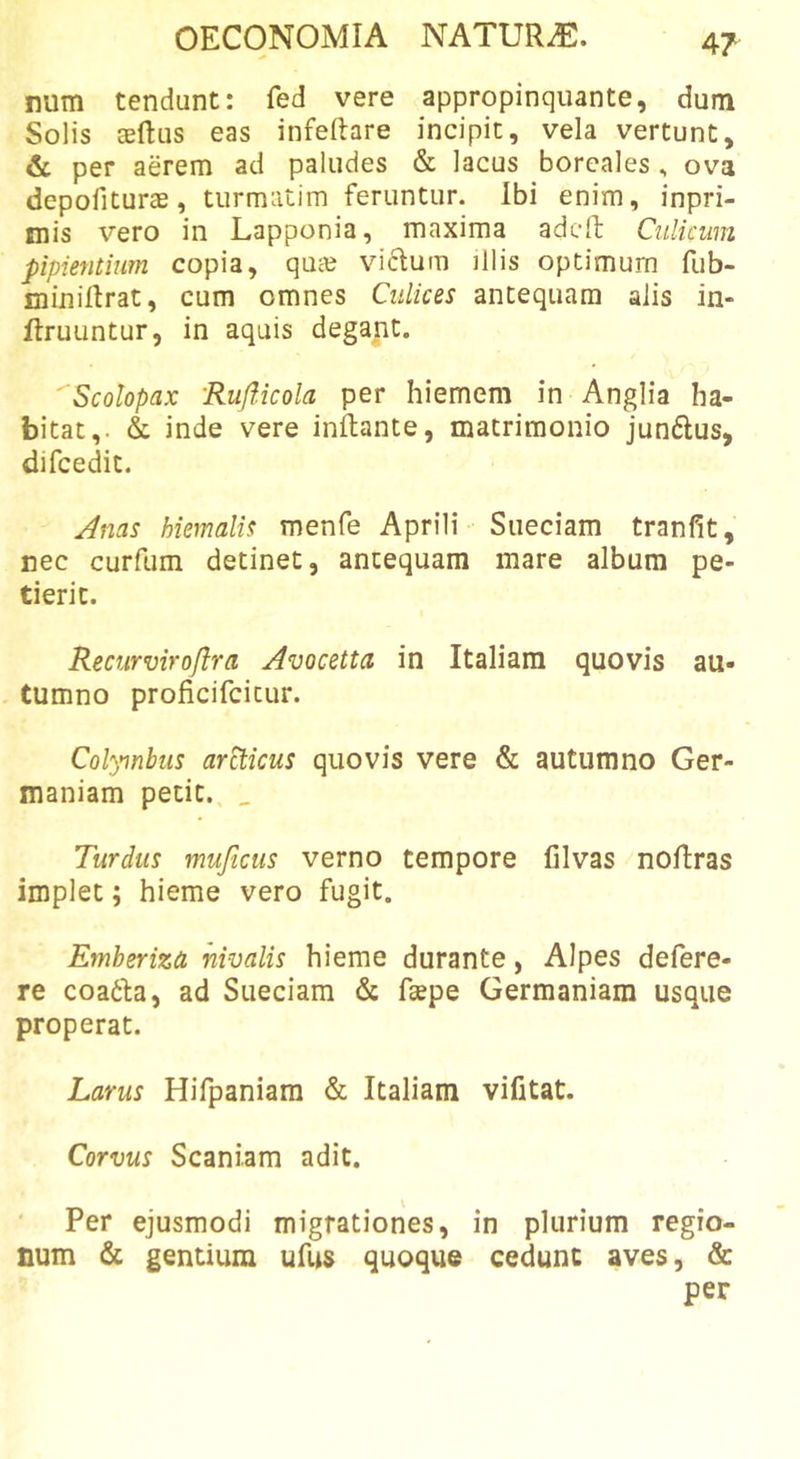 num tendunt: fed vere appropinquante, dum Solis aedus eas infeftare incipit, vela vertunt, &amp; per aerem ad paludes &amp; lacus boreales , ova depoliturae, turmatim feruntur. Ibi enim, inpri- mis vero in Lapponia, maxima adcll Culicum pipientium copia, quce viflum illis optimum fub- minillrat, cum omnes Culices antequam alis in- druuntur, in aquis degant. Scolopax 'Ruflicola per hiemem in Anglia ha- bitat,. &amp; inde vere inftante, matrimonio jun6lus, difcedit. Anas hiemalis menfe Aprili Sueciam tranfit, nec curfum detinet, antequam mare album pe- tierit. Recurviroftra Avocetta in Italiam quovis au- tumno proficifcicur. Colymbus ar^icus quovis vere &amp; autumno Ger- maniam petit. _ Turdus muficus verno tempore filvas noRras implet; hieme vero fugit. Emberiza nivalis hieme durante, Alpes defere- re coadfa, ad Sueciam &amp; fsepe Germaniam usque properat. Larus Hifpaniam &amp; Italiam vifitat. Corvus Scaniam adit. Per ejusmodi migrationes, in plurium regio- num &amp; gentium ufus quoque cedunt aves, &amp; per