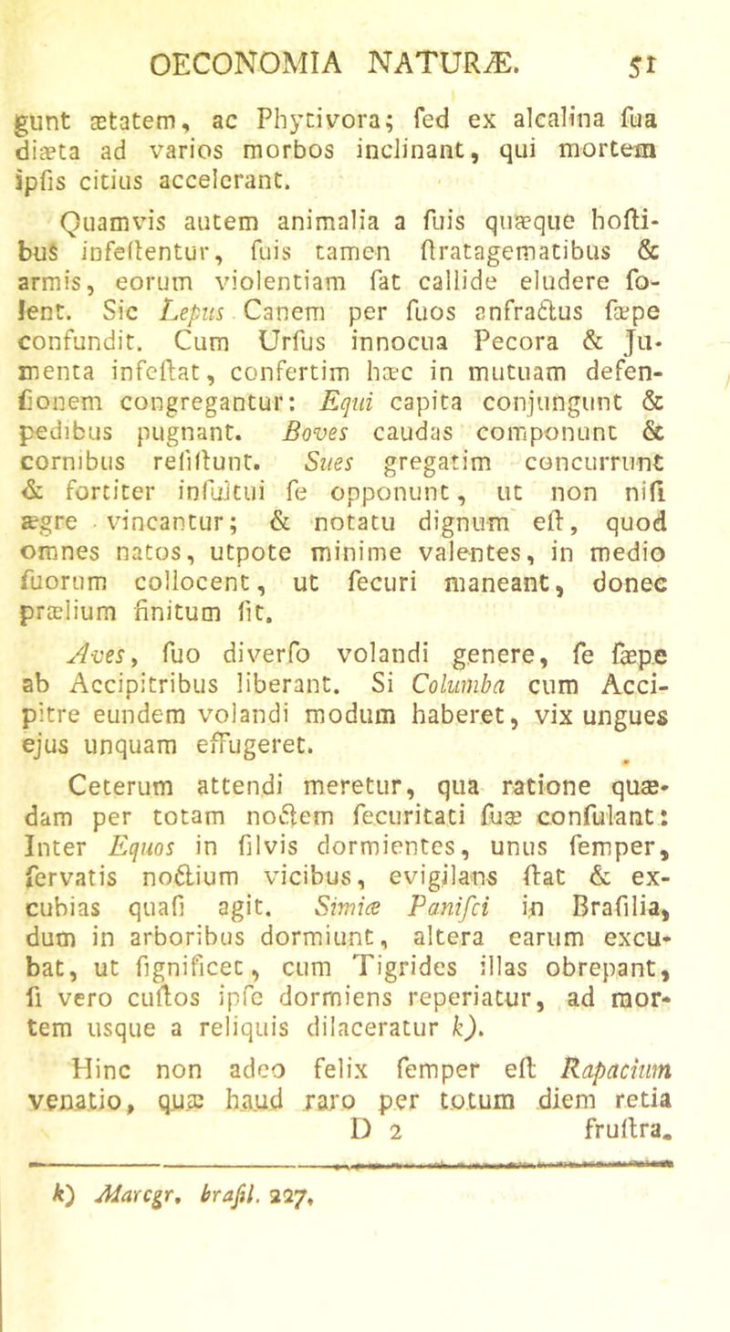 gunt jEtatem, ac Phytivora; fed ex alcalina fua diaeta ad varios morbos inclinant, qui mortem ipfis citius accelerant. Quamvis autem animalia a fuis quaeque hoRi- buS infedentur, fuis tamen flratagematibus &amp; armis, eorum violentiam fat callide eludere fo- lent. Sic Lepm Canem per fuos anfradus fa^pe confundit. Cum Urfus innocua Pecora &amp; Ju- menta infeflat, confertim heee in mutuam defen- fionem congregantur: Equi capita conjungunt &amp; pedibus pugnant. Boves caudas componunt &amp; cornibus refiRunt. Sues gregatim concurrunt &amp; fortiter infuJtui fe opponunt, ut non niR segre vincantur; &amp; notatu dignum eft, quod omnes natos, utpote minime valentes, in medio Tuorum collocent, ut fecuri maneant, donee prtelium finitum fit. Aves i fuo diverfo volandi genere, fe fasp.e ab Accipitribus liberant. Si Columba cum Acci- pitre eundem volandi modum haberet, vix ungues ejus unquam effugeret. Ceterum attendi meretur, qua ratione quae- dam per totam nodem fecuritati fuge confulant: Inter Equos in filvis dormientes, unus femper, fervatis nodium vicibus, evigilans Rat &amp; ex- cubias quafi agit. Simice Panifci i,n Brafilia, dum in arboribus dormiunt, altera earum excu- bat, ut fignificec, cum Tigrides illas obrepant, fi vero cuRos ipfc dormiens reperiatur, ad mor- tem usque a reliquis dilaceratur k). Hinc non adeo felix femper eR Rapacium venatio, qusc haud raro per totum diem retia D 2 fruRra. k') Aiarc^r, brapl. 227,