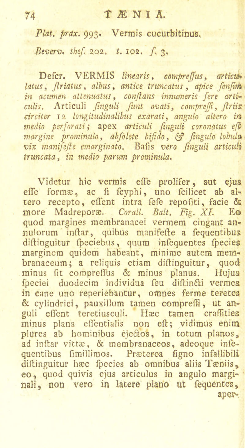 Piat. prax. 993. Vermis cucurbitinus, Pcverv, thef, 202. f. 102. /,3, Defer. VERMIS linearis^ comprejjiis^ artkts* latus, Jiriatus, alhus, antice truncatus, apice fenjlm in acumen attenuatus, conflans innumeris fere arti- culis. Articuli fingtili funt ovati, comprejfi, flriis: circiter 12 longitudinalibus exarati, angulo altero in medio perforati; apex articuli finguli coronatus eft margine prominulo, abfolete bifido, ^ Jingulo lobiila vix rnanifefle emarginato. Bafis vero finguli articuli truncata, in medio parum prominula. Videtur hic vermis efle prolifer, aut ejus efle formae, ac fi fcyphi, uno fcilicet ab al- tero recepto, eifent intra fefe repofiti, facie &amp; more Madreporae. Corall. Balt. Fig. XI. Eo quod margines membranacei vermem cingant an- nulorum inftar, quibus manifefte a fequentibus diflinguitur fpeciebus, quum infequentes fpecies marginem quidem habeant, minime autem mem- branaceum; a reliquis etiam diflinguitur, quod minus fit compreffus &amp; minus planus. Hujus fpeciei duodecim individua feu diflinfli vermes in cane uno reperiebantur, omnes ferme teretes &amp; cylindrici, pauxillum tamen comprefii, ut an- guli effent teretiusculi. Haec tamen crafiities minus plana effentialis non eft; vidimus enim plures ab hominibus ejeftos, in totum planos, ad inftar vittae, &amp; membranaceos, adeoque infe- quentibus fimillimos. PrjBterea figno infallibili diflinguitur haec fpecies ab omnibus aliis Taeniis, eo, quod quivis ejus articulus in angulo margi- • nali, non vero in latere plano ut fequentes, aper-.