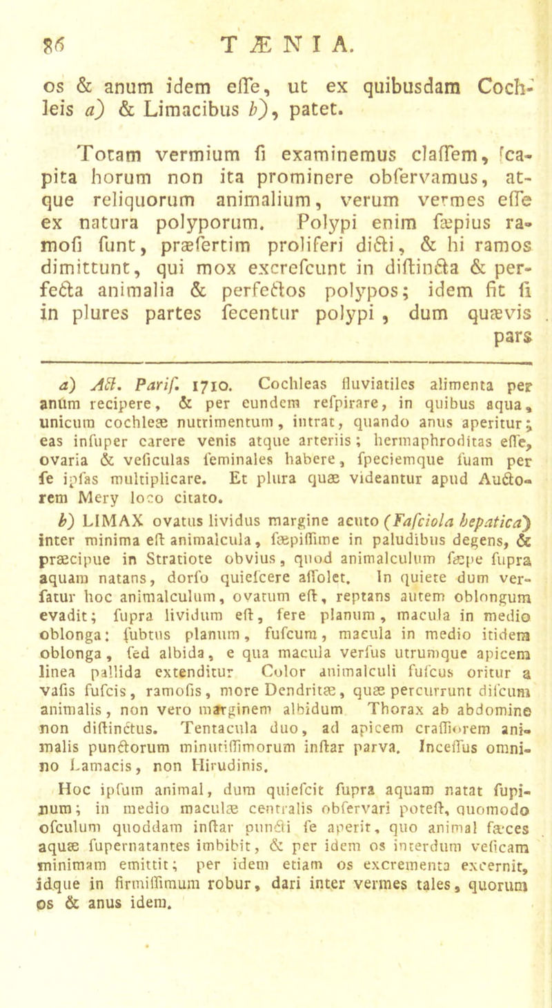 os &amp; anum idem efTe, ut ex quibusdam Coch- leis &amp; Limacibus /?), patet. Totam vermium fi examinemus clafTem, fca- pita horum non ita prominere obfervamus, at- que reliquorum animalium, verum vermes efle ex natura polyporum. Polypi enim fsepius ra- mofi funt, praefertim proliferi difti, &amp; hi ramos dimittunt, qui mox excrefcunt in diftinfta &amp; per- feda animalia &amp; perfertos polypos; idem fit fi in plures partes fecentur polypi , dum quaevis pars a) A£l. Parif. 1710. Cochleas fluviatiles alimenta per anOm recipere, &amp; per eundem refpirare, in quibus aqua, unicum cochleae nutrimentum, intrat, quando anus aperitur; eas infuper carere venis atque arteriis; hermaphroditas eflTe, ovaria &amp; veficulas leminales habere, fpeciemque luam per fe ipfas multiplicare. Et plura quae videantur apud Aufto- rem Mery loco citato. h) LIMAX ovatus lividus margine ^cmo (Fafciola bepatica') inter minima efl: animalcula, faepilTime in paludibus degens, &amp; praecipue in Stratiote obvius, quod animalculum faepe fupra aquam natans, dorlb quielcere affolet. In quiere dum ver- fatur hoc animalculum, ovatum efl, reptans autem oblongum evadit; fupra lividum efl:, fere planum, macula in medio oblonga: fubtus planum, fufeura, macula in medio itidem oblonga, fed albida, e qua macula verfus utrumque apicem linea pallida extenditur Color animalculi fufeus oritur a vafis fufeis, ramofis, more Dendritse, quae percurrunt difeum animalis, non vero m»rginem albidum Thorax ab abdomine non diflindtus. Tentacula duo, ad apicem crafliorem ani- malis punftorum minutiflimorum inflar parva. IncelTus omni- no l.amacis, non Hirudinis. Hoc ipfuin animal, dura quiefeit fupra aquam natat fupi- num; in medio maculae centralis obfervari potefl, quomodo ofculum quoddara inflar pundli fe aperit, quo animal fa'ces aquSB fupernatantes imbibit, &amp; per idem os interdum vellcam minimam emittit; per idem etiam os excrementa excernit, idque in firmiffimum robur, dari inter vermes tales, quorum os &amp; anus idem.