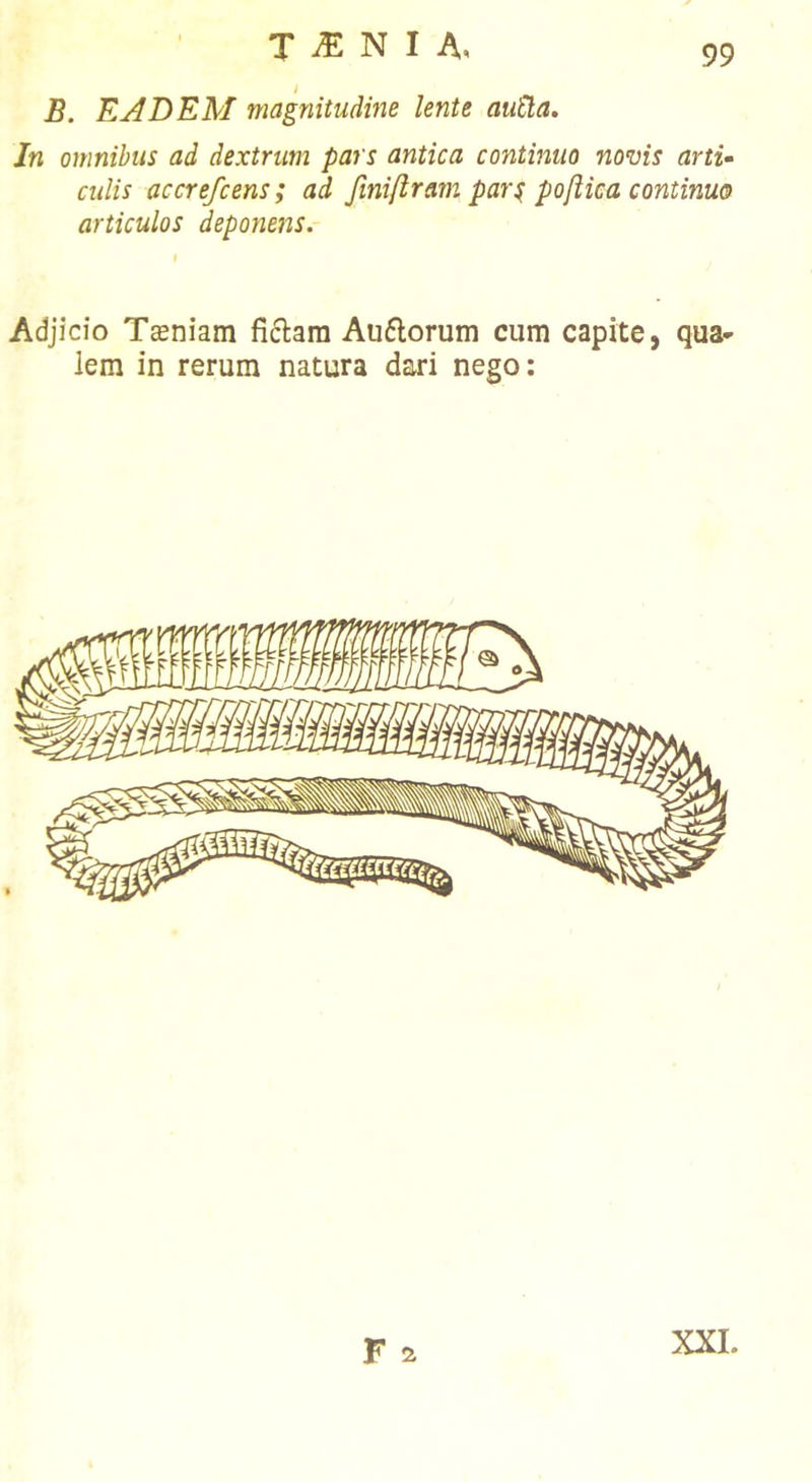 B. EADEM magnitudme lente auUa, In omnibus ad dextrum pars antica continuo mms artu culis accrefcens; ad finiftram par^ poftica continuo articulos deponens,- Adjicio Teeniam ficlara Au6lorum cum capite, qua- lem in rerum natura dari nego: F a XXI.