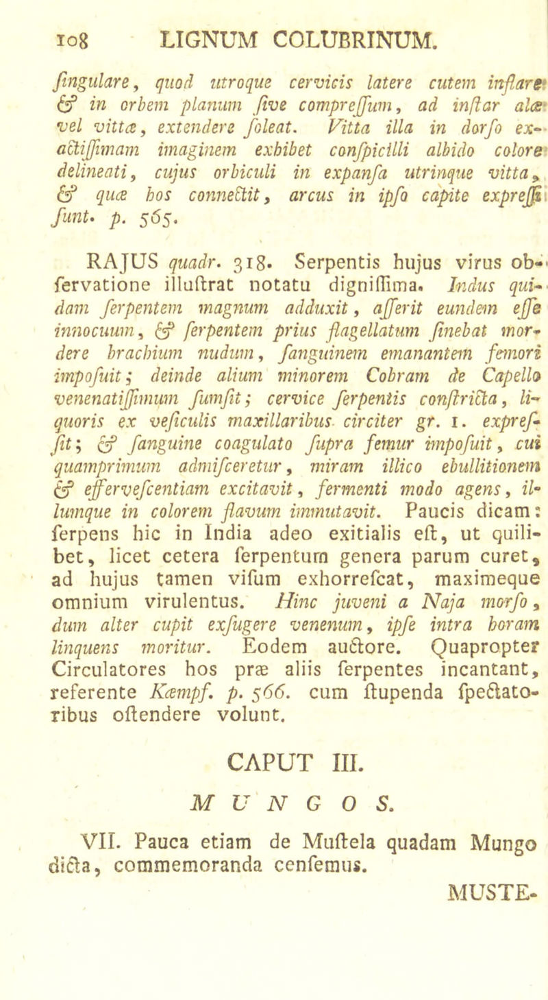 Jtngulare, quod utroque cervicis latere cutem inflare* 6f in orbem planum five compreflinn, ad infiar ala* vel vitta, extendere /oleat. Vitta illa in dorfo ex^- ad:i[fimam imaginem exhibet confpicilli albido colore' delimati, cujus orbiculi in expanfa utrinque vitta^ qua hos connetlit, arcus in ipfo capite expreti funt. p. 565. RAJUS quadr. 318. Serpentis hujus virus ob-« fervatione illuftrat notatu digniflima. Indus qui^' dam ferpentem magnum adduxit, a/ferit eundem ejje innocuum, ^ ferpentem prius flagellatum finebat mor- dere brachium nudum, fanguinem emanantem feinori impofuit; deinde alium minorem Cobram de Capella venenatiflimum fumfit; cervice ferpeniis confiriEta, li- quoris ex vejiculis maxillaribus- circiter gr. i. expref- Jit’, cf /anguine coagulato /upra femur mpo/uit, cui quamprimum admi/ceretur, miram illico ebullitionem tf ejferve/centiam excitavit, fermenti modo agens, il- lumque in colorem flavum immutavit. Paucis dicam: ferpens hic in India adeo exitialis eft, ut quili- bet, licet cetera ferpenturn genera parum curet, ad hujus tamen vifum exhorrefcat, maximeque omnium virulentus. Hinc juveni a Naja mor/o, dum alter cupit ex/ugere venenum, ip/e intra horam linquens moritur. Eodem auftore. Quapropter Circulatores hos prje aliis ferpentes incantant, referente Kampf. p. 56(5. cum ftupenda fpedato- ribus oftendere volunt, CAPUT III. M U N G O S. VII. Pauca etiam de Muftela quadam Mungo dicla, commemoranda cenfemus. MUSTE-