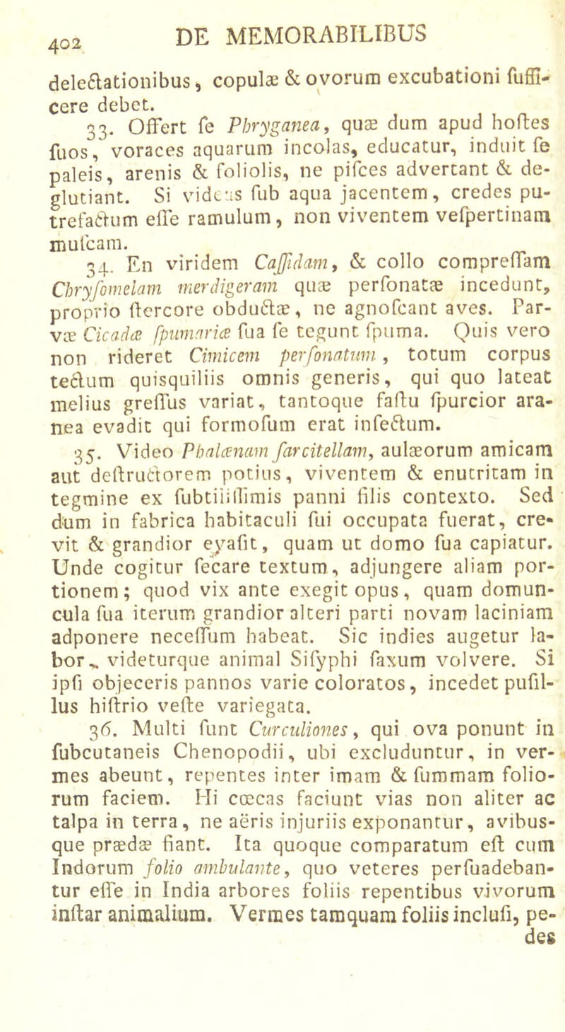deleflationibus, copulae &amp; ovorum excubationi fuffi- cere debet. 33. Offert fe Phryganea, qus dum apud hoftes fuos, voraces aquarum incolas, educatur, induit fe paleis, arenis &amp; foliolis, ne pifces advertant &amp; de- glutiant. Si videas fub aqua jacentem, credes pu- trefadlum effe ramulum, non viventem vefpertinaru mufcam. 34. En viridem CaJJidam, &amp; collo compreffam Cbryfomeiam merdigeram qUcC perfonatae incedunt, proprio Ifercore obdu6lce, ne agnofcant aves. Par- vce Cicada fpumaria Tua fe tegunt fpuma. Quis vero non rideret Cimicem perfomtmn, totum corpus tediim quisquiliis omnis generis, qui quo lateat melius greffus variat, tantoque faftu fpurcior ara- nea evadit qui formofum erat infeiflum. 35. Video Pbnlcenam farcitellam, aulaeorum amicam aut dertrudorem potius, viventem &amp; enutritam in tegmine ex fubtiiillimis panni iVlis contexto. Sed dum in fabrica habitaculi fui occupata fuerat, cre- vit &amp; grandior eyafit, quam ut domo fua capiatur. Unde cogitur fecare textum, adjungere aliam por- tionem; quod vix ante exegit opus, quam domun- cula fua iterum grandior alteri parti novam laciniam adponere neceffum habeat. Sic indies augetur la- bor... videturque animal Sifyphi faxiim volvere. Si ipfi objeceris pannos varie coloratos, incedet pufil- lus hiftrio vefte variegata. 36. Multi funt Curculiones y qui ova ponunt in fubcutaneis Chenopodii, ubi excluduntur, in ver- mes abeunt, repentes inter imam &amp; fummam folio- rum faciem. Hi coecas faciunt vias non aliter ac talpa in terra, ne aeris injuriis exponantur, avibus- que prsdse fiant. Ita quoque comparatum efl cum Indorum folio ambulante, quo veteres perfuadeban- tur effe in India arbores foliis repentibus vivorum inftar animalium. Vermes tamquam foliis inclufi, pe- des