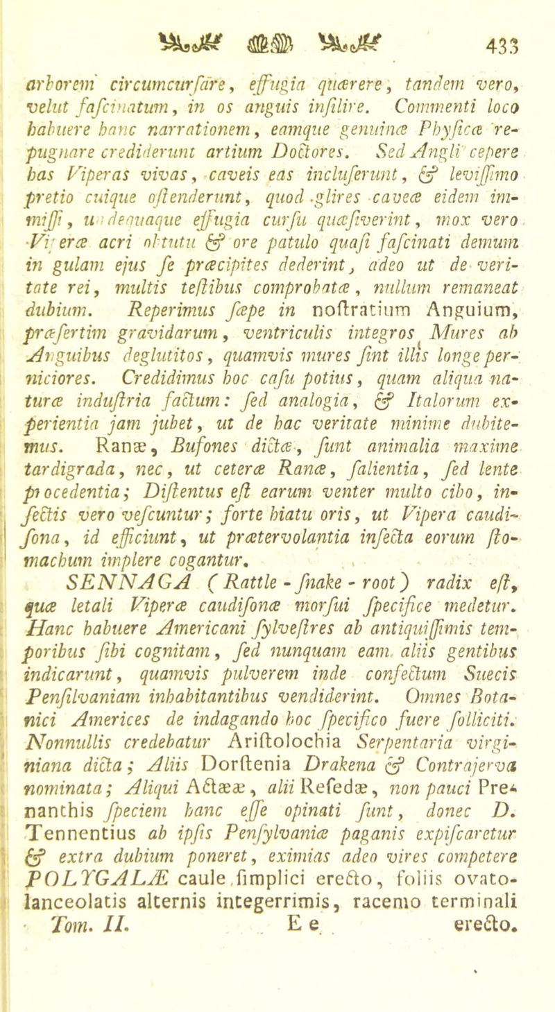 arhorem circumciirfdre, quarere, tandem veroy vehit fafcinatiim, in os anguis infilire. Commenti loco habuere hanc narrationem, eamqite gemiince Phyficce re- pugnare crediderunt artium DoCtores. Sed Angli' cepere has Piper as vivas ^ caveis eas inclufenmt, levijfimo pretio cuique oflenderunt, quod .glires cavece eidem im- inijji, uidequaque ejfugia cur fu qiiccfverint, mox vero ■Vi; er ce acri obtutu ^ ore patulo quafi fafcinati demum in gulam ejus fe prcecipites dederint j adeo ut de veri- tate rei, multis teflihus comprohatce, nullum remaneat diihium. Reperimus fepe in noflratium Anguium, prcefertim gravidarum, ventriculis integros Mures ah Anguibus deglutitos, quamvis mures fint illis longe per- niciores. Credidimus hoc cafu potius, quam aliqua na- turce induflria factum: fed analogia, Italorum ex- perientia jam jubet, ut de hac veritate minime dubite- mus. Ranae, Bufones dictce, funt animalia maxime tardigrada, nec, ut cetera Rance, falientia, fed lente piocedentia; Dijlentus eji earum venter multo cibo, in- fe£tis vero vefcuntur; forte hiatu oris, ut Pipera caudi- fona, id efficiunt., ut pr ater volantia infecta eorum /io- machum implere cogantur, SENNAGA ( Rattle - fnake - root') radix eft, qua letali Vipera caudifona morfui fpecifice medetur. Hanc habuere Americani fylvefires ab antiquijffimis tem- poribus fibi cognitam, fed nunquam eam. aliis gentibus indicarunt, quamvis pulverem inde confeltum Suecis Penfilvaniam inhabitantibus vendiderint. Omnes Bota- nici Americes de indagando hoc fpecifico fuere folliciti. Nonnullis credebatur Ariftolochia Serpentaria virgi- niana dicta; Aliis Dorftenia Drakena Contrajervci nominata; Alicjui A6laeae, alii Refedae, non pauci Pre* nanthis fpeciem hanc effe opinati funt, donec D. Te nnentius ab ipfts Penfylvania paganis expifcaretur &amp; extra dubium poneret, eximias adeo vires competere POLYGALAL caule,fimplici erefto, foliis ovato- ianceolatis alcernis integerrimis, racemo terminali • Tom. ll. E e ere6lo.