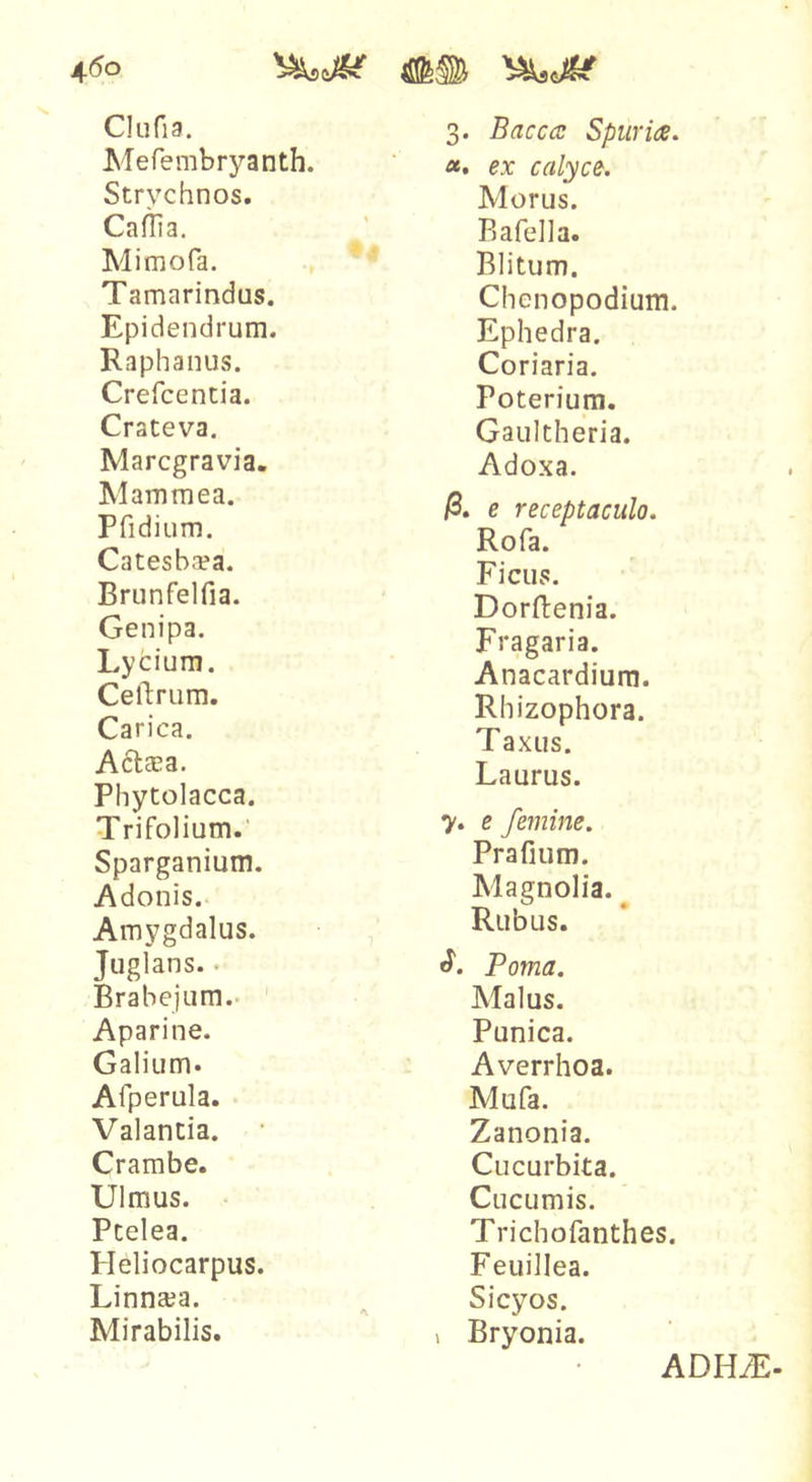 Ckifia. Mefembryanth. Strychnos. Caliia. Mimofa. Tamarindus. Epidendrum. Raphanus. Crefcentia. Crateva. Marcgravia. Mammea. Pfidium. Catesb.Ta. Brunfelfia. Genipa. Lycium. Ceftrum. Carica. Acteea. Phytolacca. Trifolium. Sparganium. Adonis. Amygdalus. Juglans.. Brabejum.- Aparine. Galium. Afperula. Valantia. Crambe. Ulmus. Pcelea. Pleliocarpus. Linnaja. A Mirabilis. 3. Bacccc Spuria. «. ex calyce. Morus. Bafella. Blitum. Chenopodium. Ephedra. Coriaria. Poterium. Gaultheria. Adoxa. e receptaculo. Rofa. Ficus. Dorftenia. Fragaria. Anacardium. Rhizophora. Taxus. Laurus. 7. e femine. Prafium. Magnolia. ^ Rubus. Poma. Malus. Punica. Averrhoa. Mufa. Zanonia. Cucurbita. Cucumis. Trichofanthes. Feuillea. Sicyos. ) Bryonia. ADH/E-