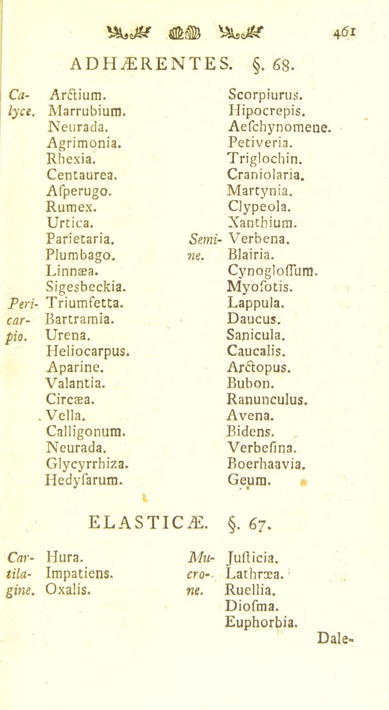 ADHiERENTES. §,68» Ca- Ar6lium. Scorpiurus. lyce. Marrubium. Hipocrepis. Neurada. Aefchynomene. Agrimonia. Petiveria. Rhexia. Triglochin. Centaurea. Craniolaria. Afperugo. Martynia. Rumex. Clypeola. Urtica. Xanthium. Parietaria. Semi- Verbena. Plumbago. Tie. Blairia. Linnaea. CynoglolTum. Sigesbeckia. Myofotis. Peri- Triumfetta. Lappula. car- Bartramia. Daucus. pio. Urena. Sanicula. Heliocarpus. Caucalis. Aparine. Arftopus. Valantia. Bubon. Circaea. Ranunculus. .Vella. Avena. Calligonura. Bidens. Neurada. Verbefina. Glycyrrhiza. Boerhaavia. Hedyrariim. Geum. ELASTIC /£. §. 67. Car- Hura. Mii- Juflicia. tila- Impatiens. cro-- Lathraea.' gme. Oxalis. ne. Ruellia. Diofma. Euphorbia, Dale-