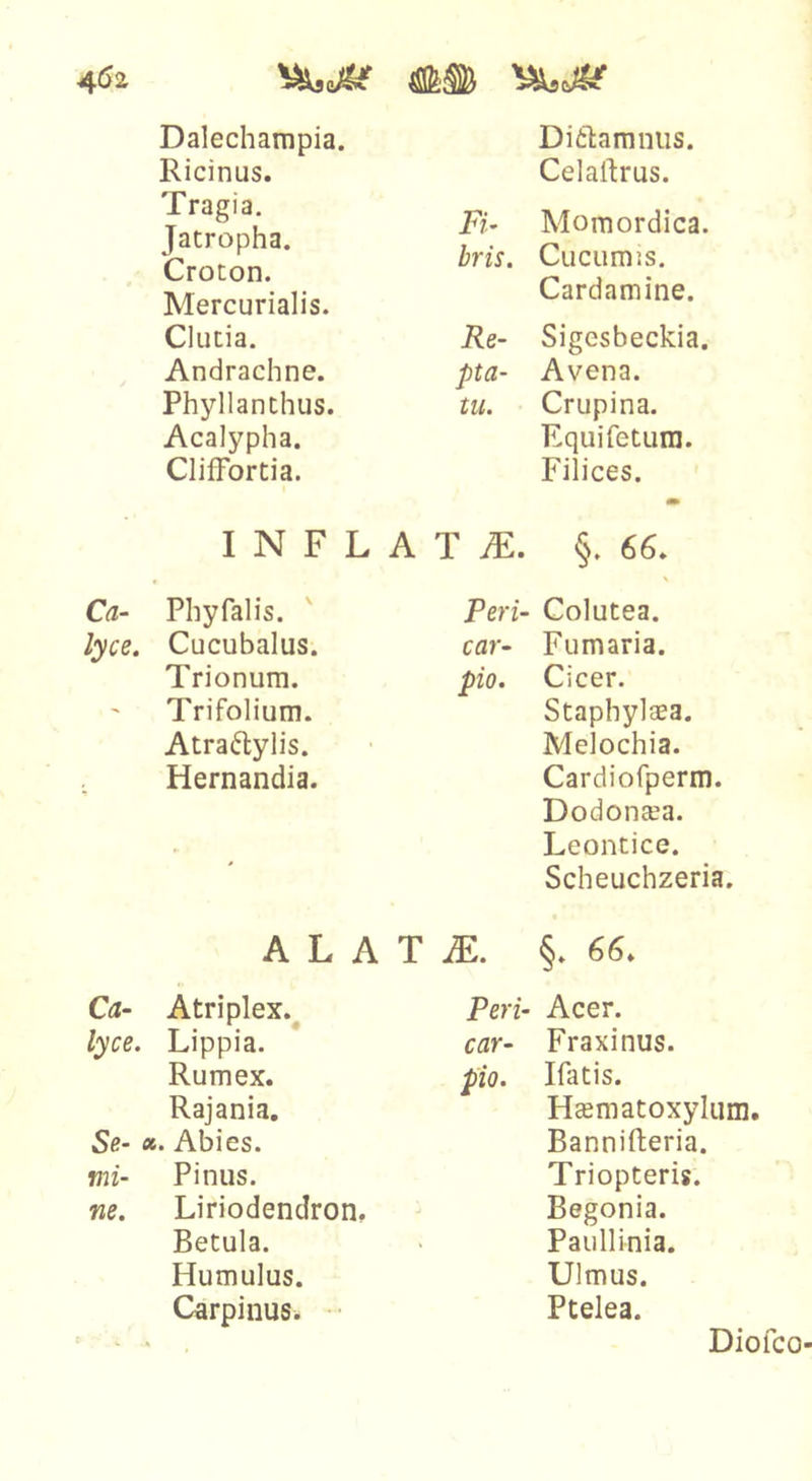4^2 Ca- lyce. Dalechampia. Ricinus. Tragia. Jatropha. Croton. Mercurialis. Clutia. Andrachne. Phyllanthus. Acalypha. ClifFortia. INFLA Pliyfalis. ' Cucubalus. Trionum. Trifolium. Atraftylis. Hernandia. Ditlamnus. Celaftrus. Fi- Moraordica. bris. Cucumjs. Cardam ine. Re- Sigesbeckia. pta- Avena. tu. Crupina. Equifetura. Filices. m T JE. §. 66. Peri- Colutea. car- Fumaria. pio. Cicer. Staphylaea. Melochia. Cardiofperm Dodontea. Leontice. Scheuchzeria. A L A T iE. §. 66. Ca- Atriplex.^ lyce. Lippia. Rumex. Rajania. Se- «. Abies. mi- Pinus. ne. Liriodendron, Betula. Humulus. Carpinus. • • Peri- Acer. car- Fraxinus. pio. Ifatis. Hsematoxyliim. Bannifteria. Triopteris. Begonia. Paullinia. Ulmus. Ptelea. Diofco-