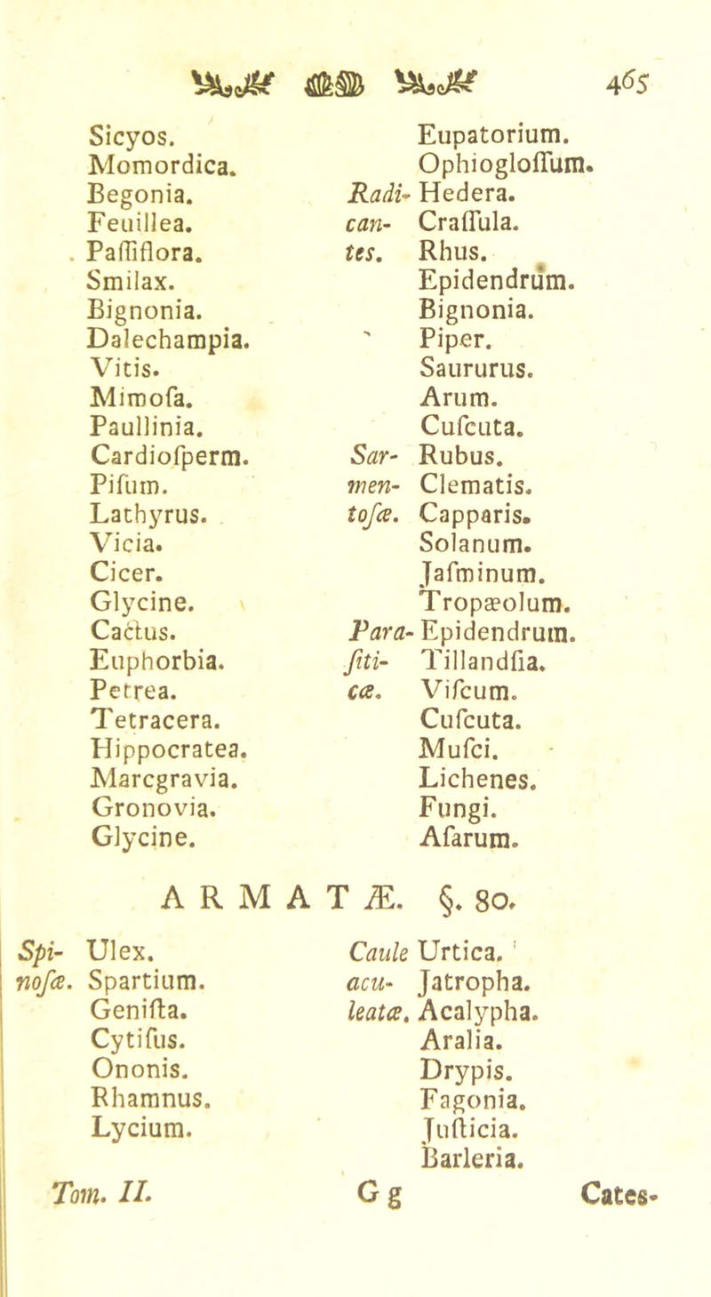 4^5 Sicyos. Eupatorium. Momordica. Ophiogloffum Begonia. Radi* Hedera. Feuillea. can- CralTula. . PafTiflora. tes. Rhus. Smilax. Epidendrum. Bignonia. Bignonia. Dalechampia.  Piper. Vitis. Saururus. Miroofa. Arum. Paullinia. CufcLita. Cardiofperm. Sar- Rubus. Pifum. wen- Clematis. Lathyrus. tojce. Capparis. Vicia. Solanum. Cicer. Jafminum. Glycine. Tropaeolum. Cactus. Rara- Epidendrum. Euphorbia. [ni- Tillandfia. Petrea. ca, Vifcum. Tetracera. Cufcuta. Hippocratea. Mufci. Marcgravia. Lichenes. Gronovia. Fungi. Glycine. Afarura. A R M A T iE. §* 80, Spi- Ulex. nofce. Spartiiim. Genifla. CytiTus. Ononis. Rhamnus. Lycium. Caule Urtica.' acu- Jatropha. leata, Acalypha. Aralia. Drypis. Fagonia. Jufticia. Barleria. Gg Tom. 11. Cates-