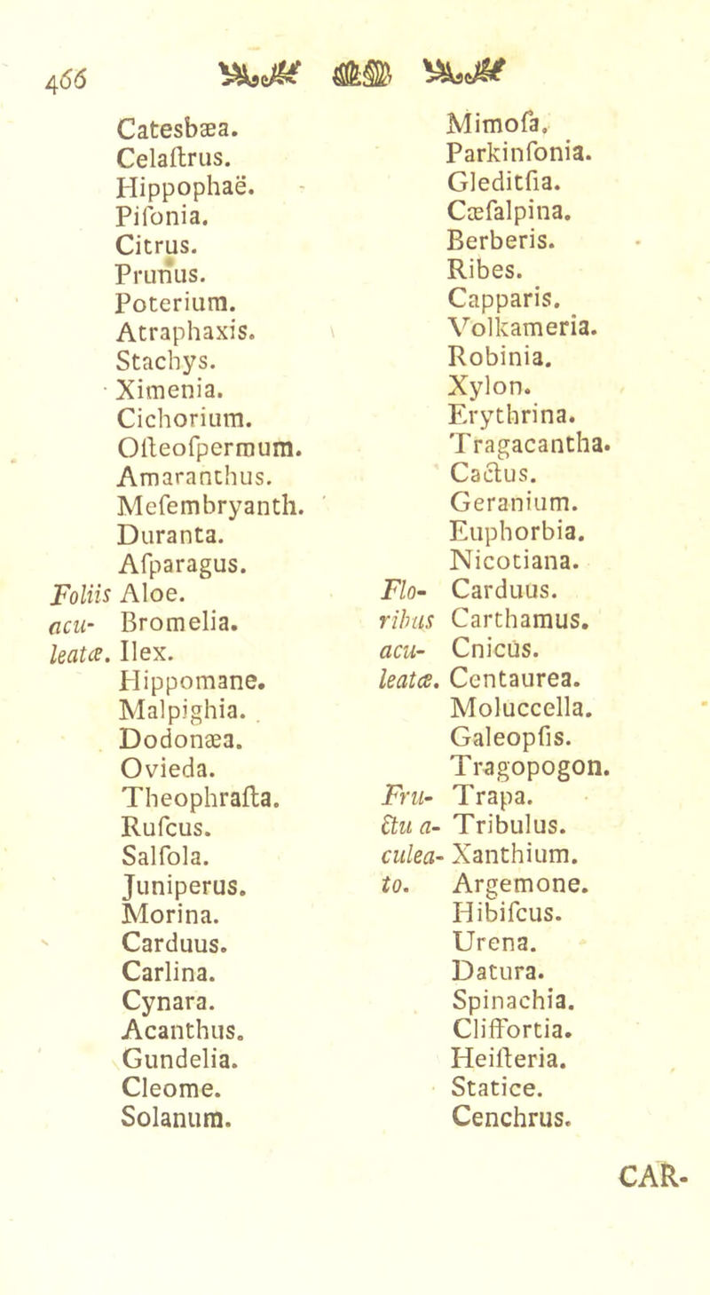 466 Catesbaea. Celaftrus. Hippophae. Pifonia. Citrus. Primus. Poterium. Atraphaxis. Stacbys. Ximenia. Cichorium. Olleofperraum. Amaranthus. Mefembryantli. Duranta. Afparagus. Foliis Aloe. acu- Bromelia. leaue. Ilex. Hippomane. Malpjghia. Dodonaea. Ovieda. Theophrafla. Rufcus. Salfola. Juniperus. Morina. Carduus. Carlina. Cynara. Acanthus. Gundelia. Cleome. Solanum. Mimofa, Parkinfonia. Gleditfia. Caefalpina. Berberis. Ribes. Capparis. \ Volkameria. Robinia. Xylon. Erythrina. Tragacantha. Caelus. Geranium. Euphorbia. Nicotiana. Fl0‘ Carduus. rihus Carthamus. acu- Cnicus. leatee. Centaurea. Moluccella. Galeopfis. Tragopogon. Fru- Trapa. 6tua- Tribulus. culea- Xanthium. to. Argemone. Hibifeus. Urena. Datura. Spinachia. Cliffortia. Heilleria. Statice. Cenchrus.