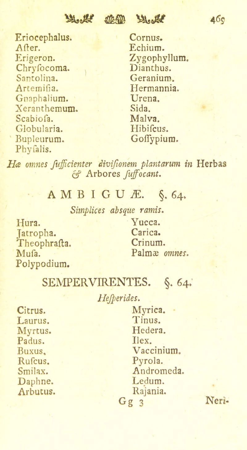 Echium. Erigeron. Zygophyllum. Chryrocoma. ^ Dianthus. Santolina. Geranium. Artemifia. Hermannia. Gnaphaliura. Urena. Xeranthemum. Sida. Scabiofa. Malva. Globularia. Plibifcus. ' Bupleiirum. Phyfalis. GolTypiura. H(S omnes fiifficienter divifionem plantarum in ^ Arbores fuffocant. AMBI G U iE. 64» Simplices absque ramis. Hura. Yucca. Jatropha. Carica. Theophrafta. Crinum. Mufa. Polypodium. Palmae omnes. SEMPERVIRENTES. §. 64,' llejperides. Citrus. Myrica. • Laurus. Tinus. Myrtus. Hedera. Padus. Ilex. Buxus, Vaccinium. Rufcus. Pyrola. Smilax. Andromeda. Daphne. Ledum. • Arbutus. Rajania. Gg 3 469 Herbas Neri-