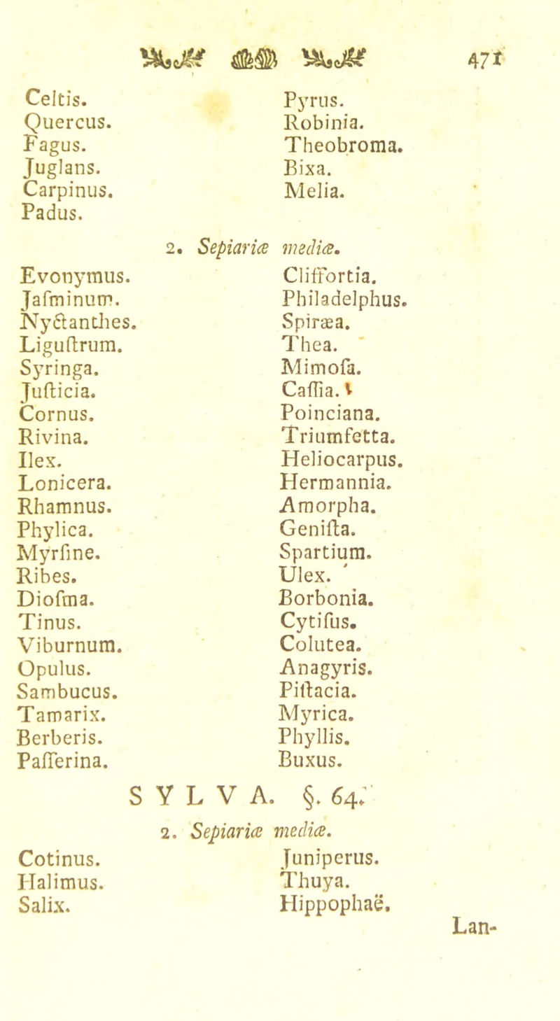 Celtis. Pyriis. Quercus. Robinia. Fagus. Theobroma. Juglans. Bixa. Carpinus. Melia. Padus. 2. Evonymus. Jafminuni. Nydandies. Liguftrum. Syringa. Jufticia. Cornus. Rivina. Ilex. Lonicera. Rhamnus. Phylica. Myrfine. Ribes. Dioftna. Tinus. Viburnum. Opulus. Sambucus. Tamarix. Berberis. Paflerina. Sepiarics msdics. ClifFortia. Philadelphus. SpiriEa. Thea. Mimofa. Caffia. V Poinciana. Triumfetta. Heliocarpiis. Hermannia. Amorpha. Genifta. Spartium. Ulex. Borbonia. Cytifus. Colutea. Anagyris. Piftacia. Myrica. Phyllis. Buxus. S Y L V A. §. 64; 2. Sepiaria v^ecUce. Cotinus. Juniperus. Ilalimus. ITuya. Salix. Hippophae.