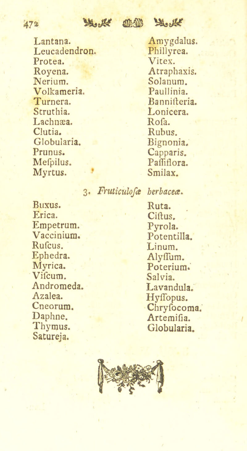 Lantana. Leucadendron. Protea. Royena. ISIerium. Volkameria. Turnera. Struthia. Lachnasa. Clutia. Globularia. Prunus. Mefpilus. Myrtus. ■ 3- Buxus. Erica. Empetrum. Vaccinium. Rufcus. Ephedra. Myrica. Vifcum. Andromeda. Azalea. Cneorum. Daphne. Thymus. Satureja. Amygdalus. Phillyrea. Vitex. Atraphaxis. Solanum. Paullinia. Bannideria. Lonicera. Rofa. Rubus. Bignonia. Capparis. PaiTiflora. Smilax. Fruticulofa herbacecs. Ruta. Cillus. Pyrola. Potentilla. Linum. AlylTum. Poteriura.' Salvia. Lavandula. Hyflbpus. Chryfocoma, Artemifia. Globularia. I