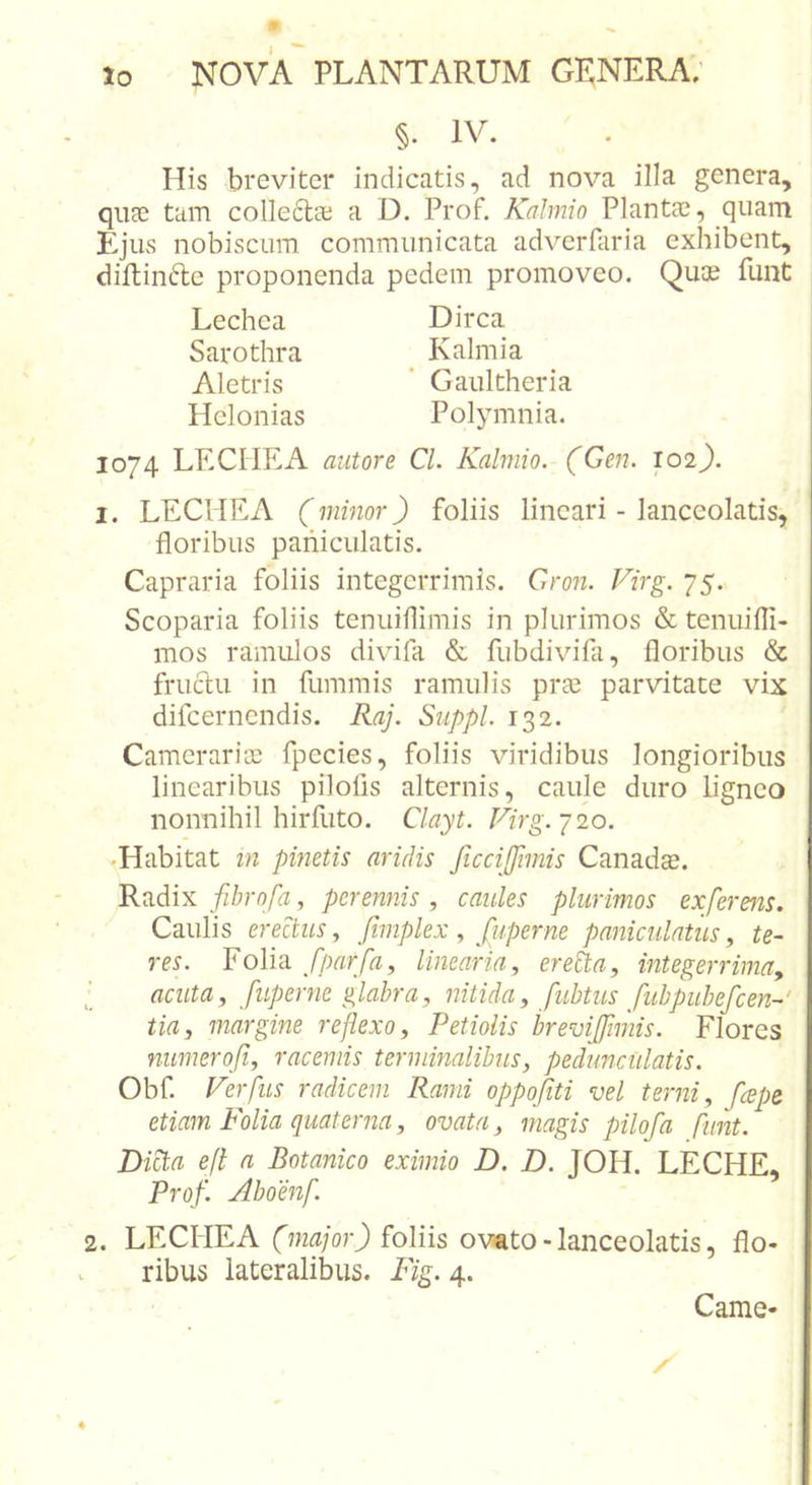 §. IV. His breviter indicatis, ad nova illa genera, quEC tam collecta; a D. Prof. Kahnin Plantae, quam Ejus nobiscum communicata adverfaria exhibent, diftin6le proponenda pedem promoveo. Quae funt Dirca K almi a Gaultheria Polymnia. Lechea Sarothra Aletris Helonias 1074 LECHEA autore Cl. Kalmio. (Gen. 102). I. LECHEA (minor) foliis lineari - lanceolatis, floribus paniculatis. Capraria foliis integerrimis. Cron. Virg. 75. Scoparia foliis tenuiflimis in plurimos &amp; tenuifli- mos ramulos divifa &amp; fubdivifa, floribus &amp; fructu in fummis ramulis prae parvitate vix difeernendis. Raj. Suppi. 132. Camerariae fpecies, foliis viridibus longioribus linearibus pilofis alternis, caule duro ligneo nonnihil hirfuto. Clayt. Firg.j 20. .Habitat in pinetis aridis JicciJfmis Canadae. Radix fibrofa, perennis, caules plurimos exferens. Caulis erectus^ ftmplexfuperne paniculatiis, te- res. Folia fparfia, linearia, erecta, integerrima^ ■ acuta, fuperne 'flabra, nitida, fubtus fubpuhefcen-' tia, margine reflexo. Petiolis bremffmis. Flores numerofi, racemis terminalibus, pedunculatis. Obf. Ferfus radicem Rami oppofiti vel terni, fcepe etiam Folia quaterna, ovata, magis pilofa funt. Di^a eft a Botanico eximio D. D. JOH. LECHE, Prof. Aboenf. 2. LECHEA foliis ovato - lanceolatis, flo- ribus lateralibus. Fig. 4. Came-