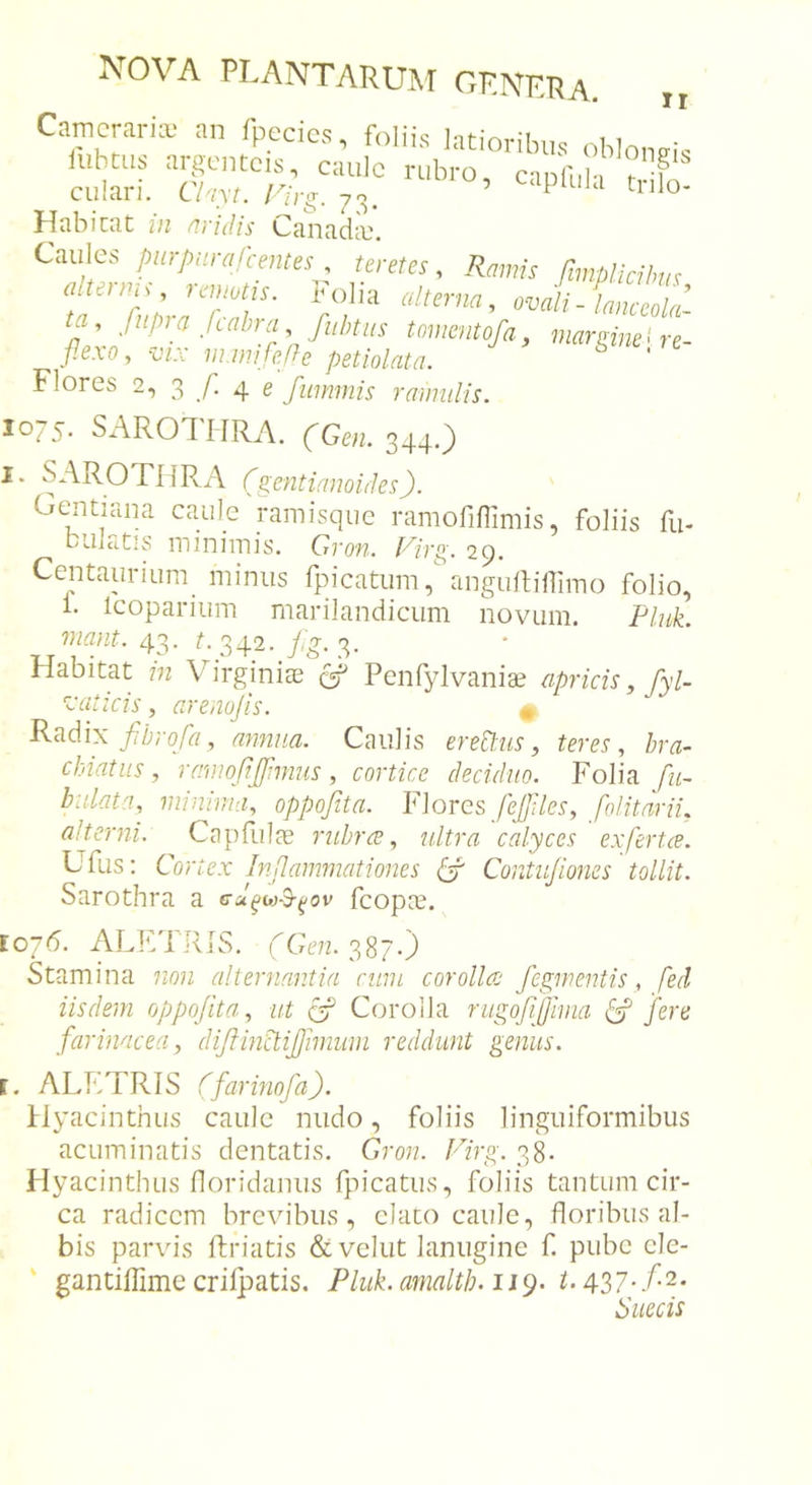 CMcraricf an fpecics, foliis latioribus ohlonais iiibtiis Jiigcntcis, cauJc rubro, cidHiI-i t- culari. Cl^iyt. rirg. Habicat in nridis Canadic. Caules purpurafcentes , teretes, Ramis (Implicilms fa^^UraTaT' ^ ovali-Janceola- ta, Jupia fiahra fuhtus tomentofa, marginet re- flexo, VIX m.wijefle petiolata. ^ ' Flores 2, 3 f. 4 e fummis ramulis. 1075. SAROIHRA. (Gen. 2)44-0 I. SAROTIiRA (gentianoirles). Gentiana caule ramisque ramofiffimis, foliis fu- bulcitis minimis. Gron. Rirg. 29. CentauriLim minus fpicatum, anguftilTimo folio, 1. leoparium marilandicum novum. Fluk 43. ^ 342. y,g. 3. Habitat in Virginiae ^ Penfylvanise apricis, fyl- Vat icis, arenojis. • Radix , annua. Caulis eremus, teres, bra- chiatus, ramofijjhnus, cortice deciduo. Folia fu- biilata, minima, oppojita. Y]ovqs, fejfliles, folitarii, alterni. Capfulie ruhrce, ultra calyces exfertce. Ufus: Cortex Inflammationes Is Contujiones tollit. Sarothra a fcopoe. E076. ALEI RjS. rG(?72. 387.) Stamina non alternantia cum corolla fegmentis, fed iisdem oppojita, ut If Corolla rugofijjima fere farinacea, di/tinctijjimum reddunt genus. l. ALKTRIS (farmofa). Hyacinthus caule nudo, foliis linguiformibus acuminatis dentatis. Gron. Virg. 38. Hyacinthus floridanus fpicatus, foliis tantum cir- ca radicem brevibus, elato caule, floribus al- bis parvis ftriatis &amp;velut lanugine f pube cle- ' gantiffime criipatis. Pluk.amalth.iig. t.427-f2. Sueeis