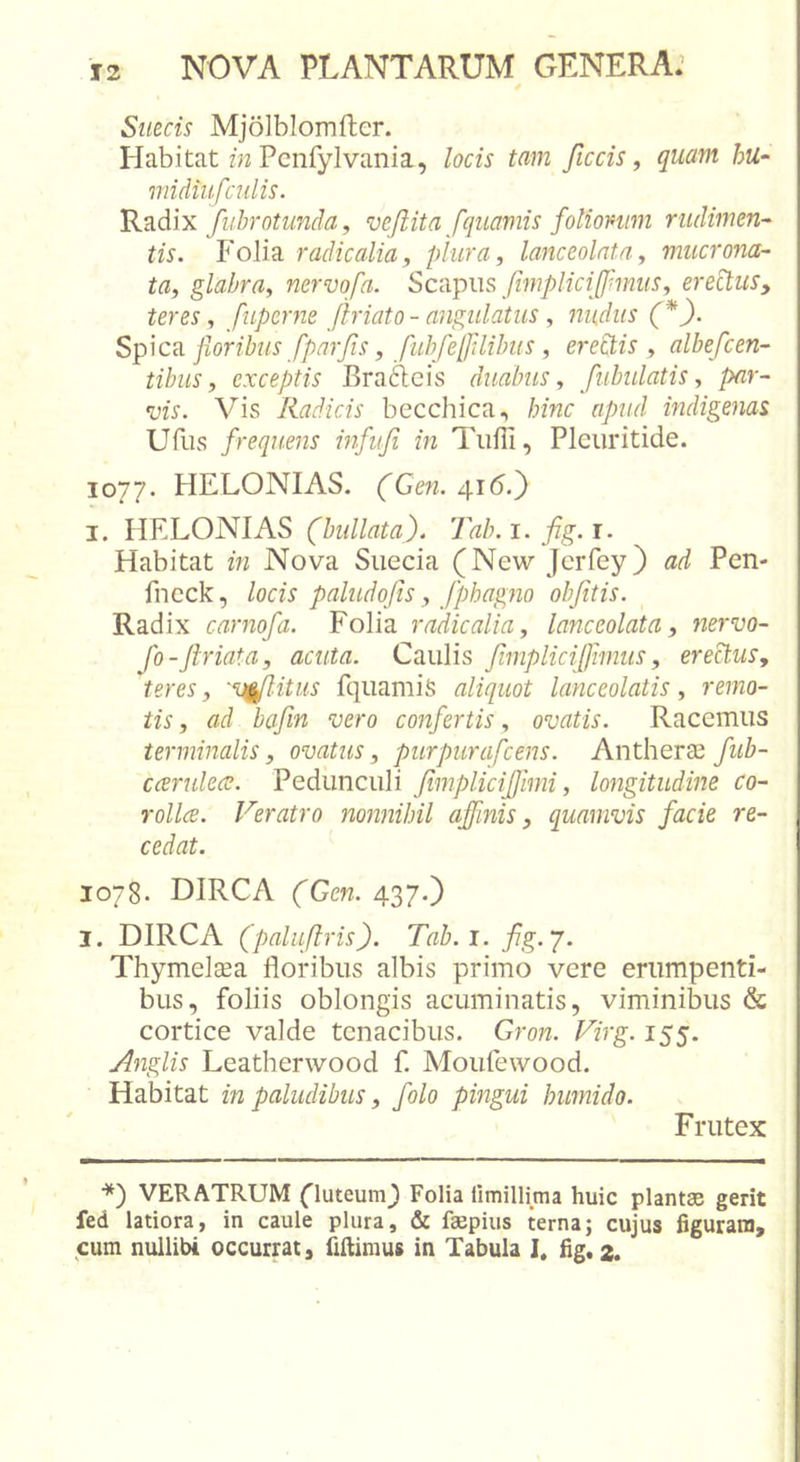 Siiecis MjoJblomfter. Habitat m Pcnfylvania, locis tam ficcis, quam hu- midiufculis. Radix fuhrotunda, vejlita fquamis folionim rudimen- tis. P'oIia radicalia, plura, lanceolatn, mucrona- ta, glabra, nervofa. Sciipus fimplici[[mus, erectus, teres, fuperne flriato - angulatus, nudus (*). Sp^Cci floribus fpar/is, fuhfelJilihiis , erectis , albefcen- tibus, exceptis Bradeis duabus, fiibulatis, par- vis. Vis Radicis becchica, hinc apud indigenas Ufiis frequens infitfi in Tiifii, Plcuritide. 1077. HELONIAS. (Gen. 416.) I. HELONIAS (bullata). Tah. i. fig. r. Habitat in Nova Siiecia (New Jcrfey) ad Pen- fncck, locis paludofis, fphagno obfitis. Radix carnofa. Folia radicalia, lanceolata, nervo- fo-firiata, acuta. Caulis fimplici[]hnus, eremus, teres, 'vf^itus fquamiS aliquot lanceolatis, remo- tis , ad bafin vero confertis, ovatis. Racemus terminalis, ovatus, purpurafcens. AntherEe fub- ccerulece. Pedunculi fimplicifjlmi, longitudine co- rolla. Veratro nonnihil affinis, quamvis facie re- cedat. 1078. DIRCA (Gen. 437.) 1. DIRCA (paluftris). Tab.i. fig.J. Thymeltea floribus albis primo vere erumpenti- bus, foliis oblongis acuminatis, viminibus &amp; cortice valde tenacibus. Gron. Virg. 155. Anglis Leatherwood f. Moufewood. Habitat in paludibus, folo pingui humido. Frutex *) VERATRUM (luteum_) Folia limillima huic plantas gerit fed latiora, in caule plura, &amp; faepius terna; cujus figuram, cum nullibi occurrat, fillimus in Tabula ]« fig* 2. I