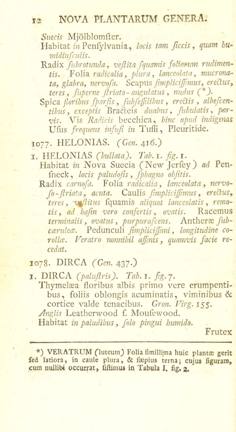 Smcis Mjolbiomfter. Habitat m Pcnfylvania, locis tam ficcis, quam hu- midiufciilis. Radix fubrotunda, vejlita fquamis folionmi rudimen- tis. Folia radicalia, plura, lanceolata, mucrona- ta, glabra, nervofa. Scapus fimplici[fimus, erectus, teres, fuperne /hiato-angulatus , nudus (*). Sp\ca jloribiis fparfis, fubfelJilihiis , ered^is , albefcen- tibus, exceptis Brafteis duabus, fubulatis, par- vis. Vis Radicis becchica, hinc apud indigenas Ufiis frequens infufi in Tiifli, Pleuritide. 1077. HELONIAS. (Gen. 416.) I. HELONIAS (bullata). Tab.i. fig.\. Habitat in Nova Sueeia (New jerfey) ad Pen- fneck, locis paludofis, Jphagno objitis. Radix carnofa. Folia radicalia, lanceolata, nervo- fo-ftriata, acuta. Caulis fimplici/imus, erecdus, teres, 'v^itus fquamiS aliquot lanceolatis, remo- tis , ad bafin vero confertis, ovatis. Racemus terminalis, ovatus, purpurafeens. Antherte fuh- carukce. Pedunculi fimpliciffimi, longitudine co- rollce. Veratro nonnihil affinis, quamvis facie re- cedat. 1078. DIRCA (Gen. 437.) I. DIRCA (paliiflris). Tab.i. fg.7. Thymeltea floribus albis primo vere erumpenti- bus, foliis oblongis acuminatis, viminibus &amp; cortice valde tenacibus. Gron. Virg. 155. Anglis Leatherwood f. Moufewood. Habitat in paludibus, folo pingui humido. Frutex *) VERATRUM fluteum} Folia limillima huic plantae gerit fed latiora, in caule plura, &amp; faepius terna; cujus figuram, cum nullibi occurrat, fillimus in Tabula J. fig«2.