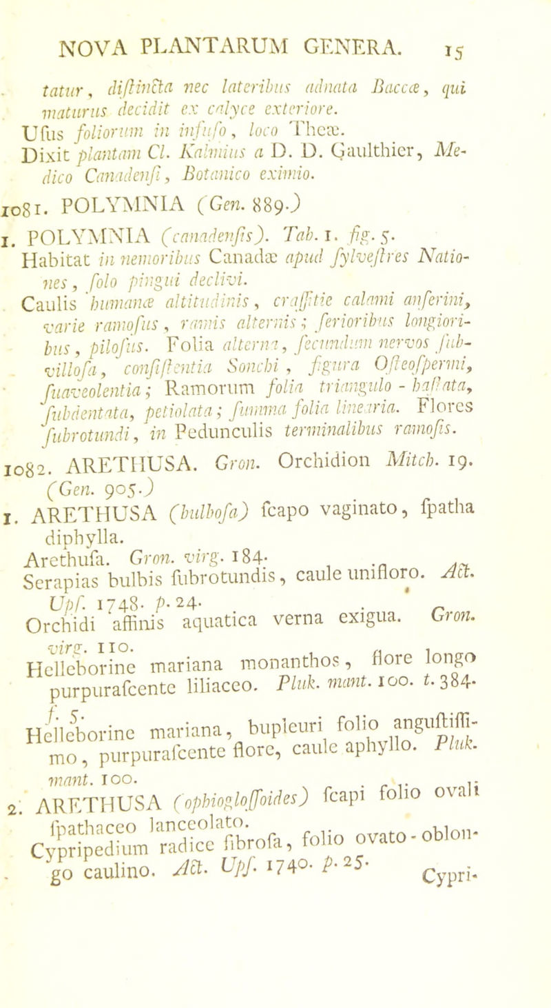 IS tatiir, nec lateribus adnata Bacae ^ qui maturus decidit ex calyce exteriore. Ufus foliorum in infufo, loco 'Fhcai. Dixit plantam CL Kalviius a D. D. Guulthicr, Me- dico Canadenfi, Botanico eximio. io8i. POLYMNIA (Gm. 889J I. POLYMNIA (canadenjis). Tab.i. fg-S- Habitat in nemoribus Canada; apud fylvejlres Natio- nes , folo pingui declivi. Caulis 'humaiue altitudinis, crafftie calami an ferini, varie ramofus, ramis alternis; ferioribus longiori- bus , pilofiis. Folia alterna, fecundum nervos fab- villofa, confiflentia Sonchi , fgnra Ofleofpermi, fuaveolentia; Ramorum folia triangulo - ballntn, fubdentata, petiolata; fumrna folia linearia. Flores fubrotundi, in Pedunculis termmalibiis ramofis. 1082. ARETHUSA. Gron. Orchidion Mitch. 19. (Gen. 905J I. ARETHUSA (bulbofa) fcapo vaginato, fpatha diphylla. Arethufa. Gron. virg. i84- . Scrapias bulbis fubrotundis, caule imifloro. Act. Upf. 1748- P-24- . ^ Orchidi affinis aquatica verna exigua. Grotz. Fielleborine mariana monanthos, flore longo purpurafeente liliaceo. Pluh mant. 100. i.384- ./• 5- Helleborine mariana, mo, purpurafeente bupleuri folio anguftiffi- flore, caule aphyllo. Pluk. mant. 100. . r t oi; ARETHUSA (ophiogloffoides) fcapi folio o\u cSX.'raVfib;ora, folio ovato-oblon. go caulino. Act. VpJ. 17p-'^5' Cypri*