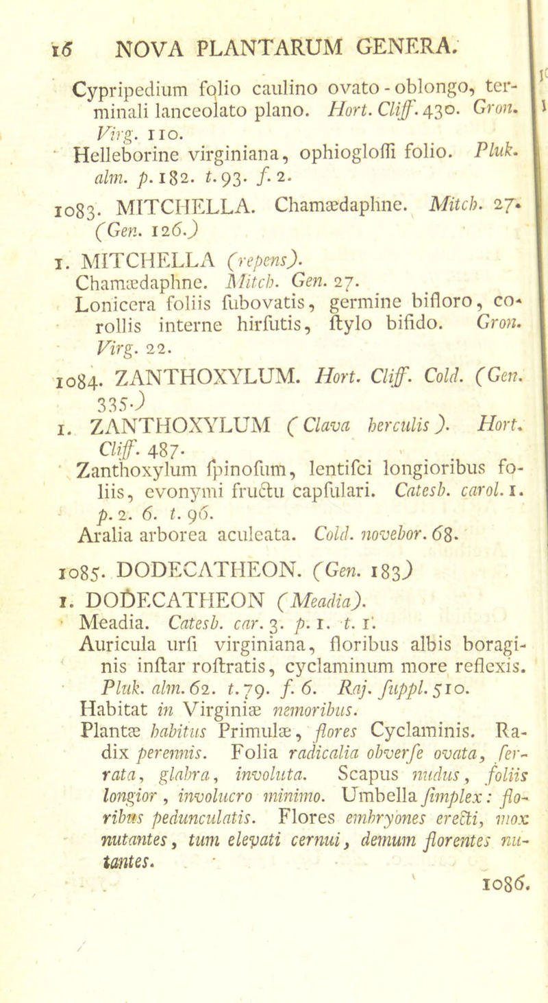 Cypripediiim fplio caiilino ovato - oblongo, ter- minali lanceolato plano. Gron. Virg. no. ‘ Helleborine virginiana, ophioglofll folio. Pluk. alm. p.i^2. t. 93. /. 2. 1083- MITCHELLA. Chamjedaphne. Mitch. 27. (Gen. 126.) I. MITCHFXLA (repens). Chamiedaphne. ]\IUch. Gen. 27. Lonicera foliis fubovatis, germine bifloro, co- rollis interne hirfutis, ftylo bifido. Gron. Virg. 22. 1084. ZANTHOXYLUM. Hort. Cliff. Cold. (Gen. 335J I. ZANTHOXYLUM (Clava her culis). Hort. Cliff. 487- ■ Zanthoxylum fpinofum, lentifci longioribus fo- liis, evonymi fru6lii capfiilari. Catesb. carol.i. p. 2. 6. t. 96. Aralia arborea aculeata. Cold. novebor. (58- 1085* DODECATHEON. (Gen. i83-) I. dodecatheon (Meadia). ' Meadia. Catesb. car.'^. p.i. t.i'. Auricula urfi virginiana, fioribus albis boragi- nis inftar roftratis, cyclaminum more reflexis. Pliik. alm.62. t.jg.f.6. Raj. fiippl. $10. Habitat in Virginiae nemoribus. Plantae habitus Primulae, flores Cyclaminis. Ra- dix perennis. Folia radicalia obverfe ovata, fer.- rata, glabra, involuta. Scapus nudus, foliis longior , involucro minimo. Umbella fimplex: flo^ ribns pedunculatis. Flores embryones ere^i, mox nutantes, tum elevati cernui, demum florentes nu- tantes. \ io8(5.