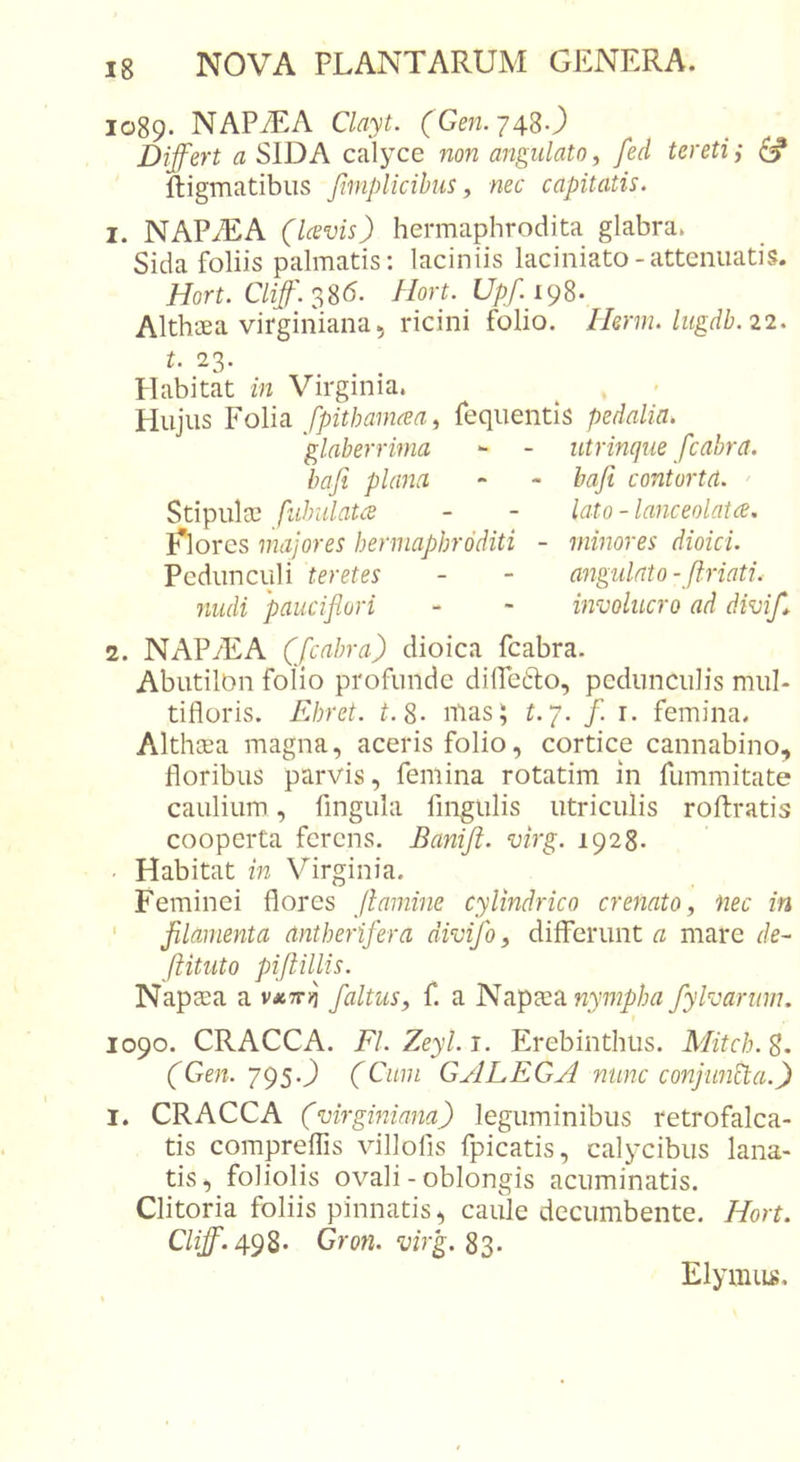 1089. NAPiEA Clayt. (Gm. 748O Differt a SIDA calyce non angulato, fed tereti; ^ ftigmatibiis fimplicihus, nec capitatis. 1. NAPiEA (Icevis) hermaphrodita glahra. Sida foliis palmatis; laciniis laciniato-attenuatis. Hort. Cliff.^%6. Hort. Upf.igS- Althaea virginiana5 ricini folio. Herm. liigdb.22. t. 23. Hahitat in Virginia. Hujus Folia fpithamm, fequentis pedalia. glaberrima - - utrinque fcabra, bafi plana - - baji contorta. Stipulae fuhulatce - - lato -lanceolatcs. Flores majores hermaphroditi - minores dioici. Pedunculi teretes - - angulato-ftriati. nudi paucifluri - - involucro ad divif* 2. NAP/EA (fcabra) dioica fcahra. Ahutilon folio profunde dilPetlo, pedunculis mul- tifloris. Ehret. t.%. lUas; ^. 7. /. i. femina. Althjea magna, aceris folio, cortice cannahino, florihus parvis, femina rotatim in fummitate caulium, fingula fmgulis utriculis roftratis cooperta ferens. Baniji. virg. 1928. . Hahitat in Virginia. Feminei flores Jlamine cylindrico crenato, nec in ' filamenta antherifera divifo, diffurunt a mare de- ftituto piftillis. Napaea a v*7rii faltus, f. a nympha fylvarum. 1090. CRACCA. FL Zeyl. i. Erehinthus. Mitch. 8. (Gen. jgs.) (Cum GALEGA nunc conjimEta.) I. CRACCA (virginiana) leguminibus retrofalca- tis compreflis villofis fpicatis, calycibus lana- tis, foliolis ovali - oblongis acuminatis. Clitoria foliis pinnatis., caule decumbente. Hort. C/zlf. 498- Gron. virg. S3. Elymus.