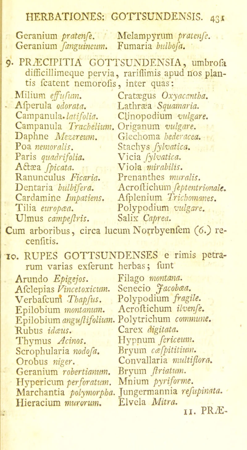 I HERBATIONES: GOTESUNDENSIS. 431 Geraniiim pratenfe. Melampyriim pratenfe. Geranium fanguimum. Fumaria bulbofa. 9. PR.ECIPITIA GOTTSUx\DENSIA, umbrofa difficillimeqiie pervia, rarillimis apud nos plan- tis fcatent ncmorofis, inter quas; Milium effupiim. Cratsegus Oxyacajitha. - Afperula odorata. Lathraja Squamaria. Cd.mpd.nu\R. latifolia. Clinopodium mlgare. Campanula Traahelium. Origanum vulgare. Daphne Mezereimi. Glechoma hederacea. Poa nemoralis. Stachys fylvatica. Paris quadrifolia. Vicia fylvatica. Aftasa fpicata. Ranunculus Ficaria. Dentaria bulbifera. Cardamine Impatiens. Tilia eiiropcea. Ulmus campeflris. Viola mirabilis. Prenanthes muralis. Acroiiichwm feptentrionale, Afplenium Tricbomanes. Polypodium vulgare. Salix Caprea. Cum arboribus, circa lucumNorrbyenfem (6.) re- cenfitis. IO. RUPES GOTTSUNDENSES e rimis petra- rum varias exferunt herbas; funt Arundo Epigejos. Filago montana. Afclepias Vincetoxicum. Senecio ^acobcea. Verbafcun! Thapfus. Polypodium fragile. Epilobium montanum. Acroltichum ilvenfe, Y.p\\ohium anguflifoliuin. Polytrichum commune. Rubus idceiis. Carex digitata. Thymus Jcinos. Plypnum fericeum. Scrophularia nodofa. Bryum ccefpititium. Orobus 7iiger. Convallaria inultijlora. Geranium robertmtum. Bryum friatum. Hypericum perforatum. Mnium pyriforme. Marchantia polymorpha. Jungermannia refiipmata. Hieracium murorum, Elvcla Mitra.