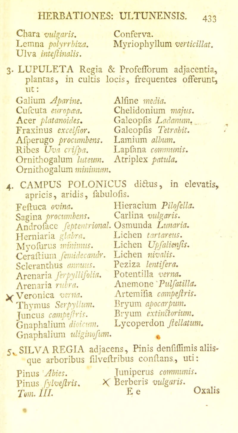 Chara vulgaris. Conferva. Lemna polyrrhiza. Myriophylliim verticillat. Ulva inteftimlis. 3. LUPULETA Regia &amp; Profeflbrum adjacentia, plantas, in cultis locis, frequentes offerunt, ut: Calium Aparine. Cufcuta europrea. Acer platanoides. Fraxinus excelfior. Afperugo procumbens. Ribes 'Uva crifpa. Ornitliogalum luteum. Ornithogalum minimum Alfine media. Chelidonium majus. Galeopfis Ladanum^, Galeopfis Tetrahit. Lamium album. Lapfana communis. Atriplex patula. 4. CAMPUS POLONICUS diftus, in elevatis, apricis, aridis, fabulofis. Feftuca ovina. Hieracium Pilofella. Sagina procumbens. Carlina vulgaris. Androface feptentrional. Osmunda Lunaria. Herniaria glabra. Lichen tartareus. Myofurus minimus. Lichen Upfalienjis. Ceraflium femideca^idr. Lichen nivalis. Scleranthus annuus. Arenaria ferpyllif dia. Arenaria rubra. ^ Veronica ma. Peziza lentifera. Potentilla verna. Anemone' Pulfatilla. Alteraifia campejiris. Bryum apocarpum. Bryum extinttorium. Lycoperdon Jiellatum. Thymus Serpyllum. Juncus campejiris. Gnaphalium dioicum. Gnaphalium uligimfum. ^ 5,^SILVA REGIA adjacens. Pinis denfiffimis aliis- que arboribus filveftribiis conflans., uti: Pinus 'Abies. Juniperus communis. Pinus fylvejlris. K Berberis vulgaris. Tmi. ilL E e Oxalis