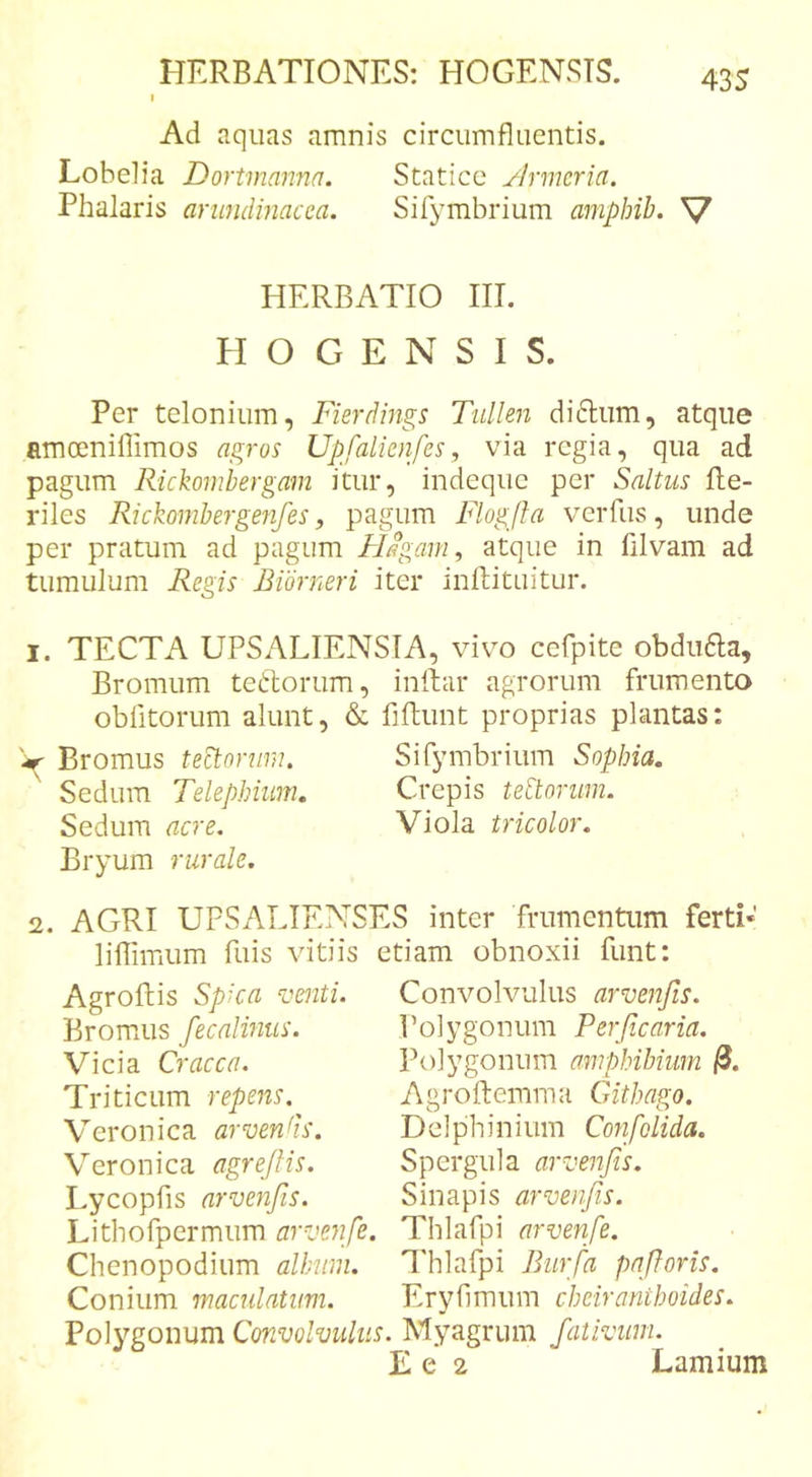 Ad aquas amnis circumfluentis. Lobelia Dortmanna. Statice yirmeria. Phalaris anmdmacca. Sifymbrium amphib. V HERBATIO III. PI O G E N S I S. Per telonium, Fierdings Ttillen di6lum, atque amoeniffimos agros Upfalienfes, via regia, qua ad pagum Rickomhergam itur, indeqiie per Saltus He- riles Rickomhergenfes, pagum Flogfta v^erfus, unde per pratum ad pagum Flagam, atque in filvam ad tumulum Regis Bidrneri iter inftituitur. I. TECTA UPSALIENSIA, vivo cefpite obdufta, Bromum teftorum, inftar agrorum frumento oblitorum alunt, &amp; fiftunt proprias plantas: Bromus teRorum. Sifymbrium Sophia. Sedum Telephiiim. Crepis ted:oriim. Sedum acre. Viola tricolor. Bryum rurale. 2. AGRI UPSALIENSES inter frumentum ferti* liflimum fuis vitiis etiam obnoxii funt: Agroftis Spica venti. Bromus fecalinus. Vicia Cracca. Tri ticum repens. Vcronica arvends. Veronica agreJHs. Lycopfis arvenjis. Convolvulus arvenfis. Polygonum Per ficaria. Polygonum amphihium Agroftemma Githago. Delphinium Confolida. Spergula arvenjis. Sinapis arvenfis. Lithofpermum arvenfe. Thlafpi arvenfe. Chenopodium allnim. Thlafpi Burfa pafloris. Conium maculatum. Eryflmum cheiranthoides. Polygonum Convolvulus. Myagrum fativum. E e 2 Lamium