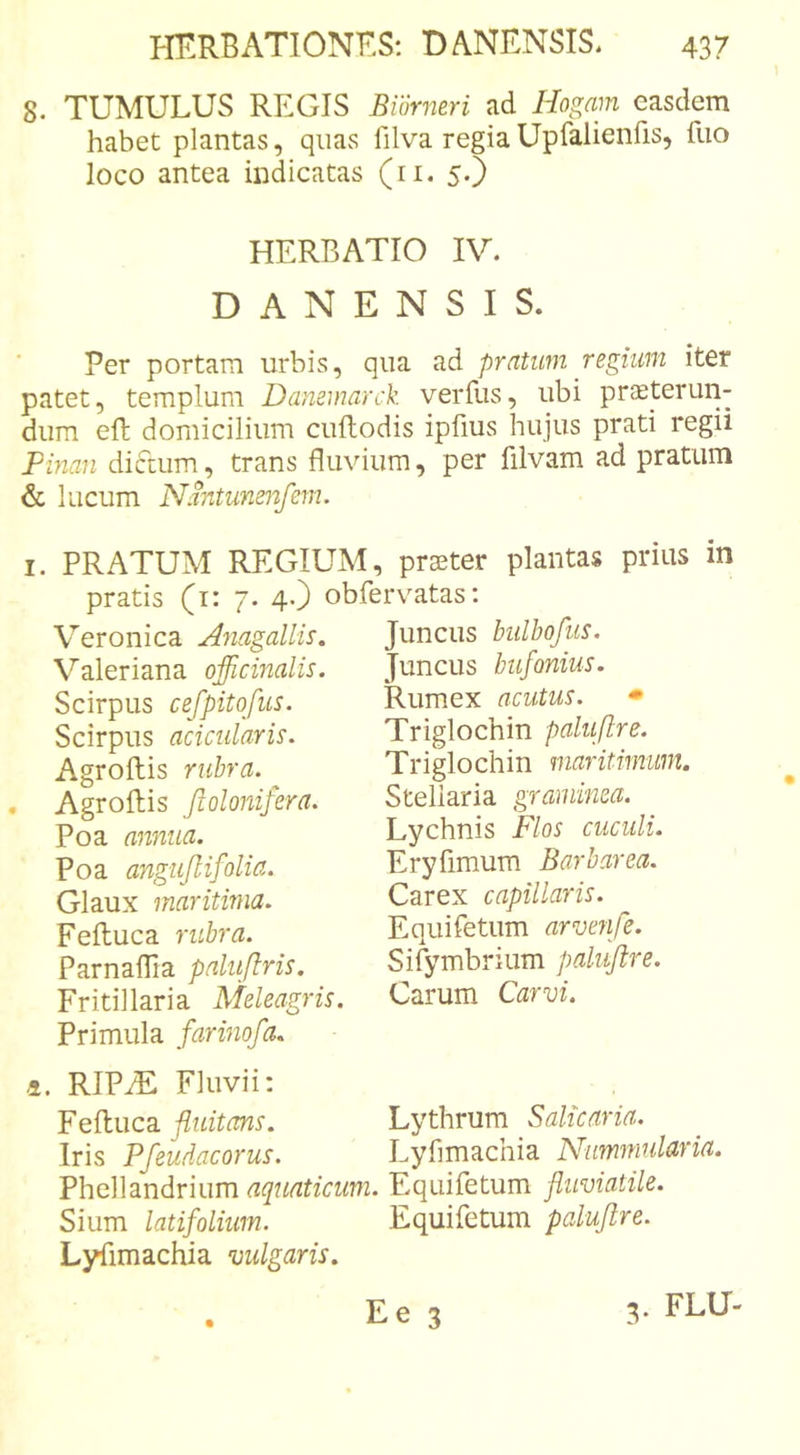 8. TUMULUS REGIS Biorneri ad Hogmn easdem habet plantas, quas filva regiaUpfalienfis, fuo loco antea indicatas (ri. 5.) HERBATIO IV. D A N E N S I S. Per portam urbis, qua ad pratum regium iter patet, templum Danemarck verfus, ubi praeterun- dum eft domicilium cuftodis iphus hujus prati regii Pinan dictum, trans fluvium, per filvam ad pratum &amp; lucum Nantunenfem. I. PRATUM REGIUM, prster plantas prius in pratis (i: 7. 4.) obfervatas: Veronica Anagallis. Valeriana officinalis. Scirpus cefpitqfus. Scirpus acicularis. Agroftis rubra. . Agroftis ftolordfera. Poa annua. Poa angujlifolia. Glaux maritima. Feftuca rubra. Parnaflia palujlris. Fritillaria Meleagris. Primula farinofa. Juncus bulbofus. Juncus bufonius. Rumex acutus. • Triglochin paluftre. Triglochin maritimum. Stellaria graminea. Lychnis Flos cuculi. Eryfimum Barbarea. Carex capillaris. Equifetum arvenfe. Sifymbrium palujire. Carum Carvi. 4. RIPiE Fluvii: fluitans. 'Lythrnm S alicaria. Iris Pfeudacorus. Lyfimachia Nummularia. Phellandrium aquaticum. Equifetum fluviatile. Sium latifolium. Equifetum paluftre. Lyfimachia vulgaris. Ee 3 3. FLU-