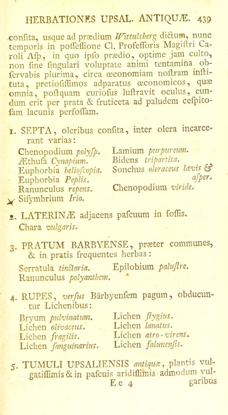 confita, usque ad prcedium JFittidsherg diftum, nunc temporis in poffcflione Cl. ProfefToris Magirtri Ca- roli Afp, in quo iplb preedio, optime jam culto, non fine lingulari voluptate animi tentamina^ ob- fervabis plurima, circa oeconomiam noftram infti- tuta, pretiofifiimos adparatus oeconomicos, quae omnia, poftquam curiofus luftravit oculus, eun- dum erit per prata &amp; fruticeta ad paludem cefpito- fam lacunis perfoflTam. I. SEPTA, oleribus confita, inter olera incarce- rant varias: Chenopodium polyfp. iEthufa Cynapium. Euphorbia heliqfcopia. Euphorbia Peplis. Ranunculus repens. Sifymbrium Irio. Lamium purpuream. Bidens tripartita. Sonchus oleraceus laevis ^ afper. Chenopodium ‘viride. i. LATERINiE adjacens pafcuum in foflis. Chara vulgaris. 3. PRATUM BARBYENSE, pr^ter commimes, &amp; in pratis frequentes herbas: Serratula Unctoria. Epilobium palujire. Ranunculus polyanthem. . RUPES, verfus Barbyenfem pagum, obducun- tur Lichenibus: Bryum pulvinatum. Lichen olivaceus. Lichen fragilis. Lichen fanguinarius. Lichen flygius. Lichen lanatus. Lichen atro - virens. Lichen falunenfis. 5. TUMULI UPSALIENSIS antiqm, plantis vul- gatiflimis &amp; in pafcuis aridillimis admodum vul- Ec 4 garibus