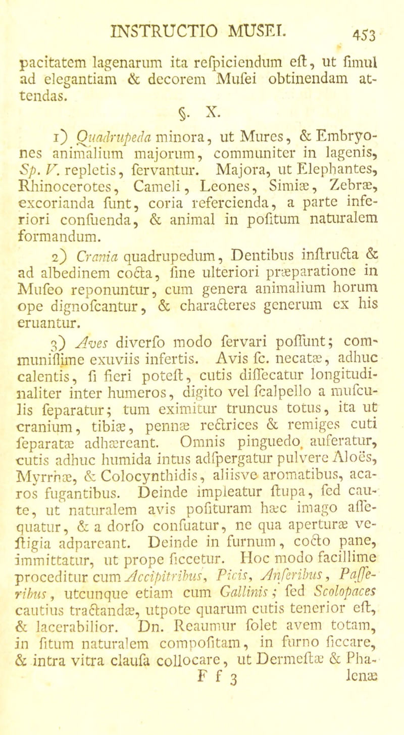 pacitatem lagenarum ita rerpiciendiim ell, ut fimiU ad elegantiam ik decorem Mufei obtinendam at- tendas. §. X. i) Quadrupeda minorut Mures, &amp; Embryo- nes animalium majorum, communiter in lagenis, Sp. V. repletis, fervantur. Majora, ut Elephantes, Rhinocerotes, Cameli, Leones, Simiae, Zebrs, excorianda funt, coria refercienda, a parte infe- riori confuenda, &amp; animal in pofitum naturalem formandum. 2} Crania quadrupedum. Dentibus inilrudla &amp; ad albedinem cocla, line ulteriori praeparatione in Mufeo reponuntur, cum genera animalium horum ope dignofeantur, &amp; charadleres generum ex his eruantur. 3) Aves diverfo modo fervari polTunt; com- muniflime eximis infertis. Avis fc. necatae, adhuc calentis, fi fieri potelt, cutis dilTecatur longitudi- naliter inter humeros, digito vel fcalpello a mufeu- lis feparatur; tum eximitur truncus totus, ita ut cranium, tibiae, pennae redlrices &amp; remiges cuti feparatae adhaereant. Omnis pinguedo^ auferatur, cutis adhuc humida intus adfpergatur pulvere Aloes, Myrrhae, &amp; Colocynthidis, aliisve aromatibus, aca- ros fugantibus. Deinde impleatur llupa, fed cau- te, ut naturalem avis pofituram hxc imago alfe- quatur, &amp; a dorfo confuatur, ne qua aperturae ve- Rigia adparcant. Deinde in furnum, cocio pane, immittatur, ut prope ficcetur. Hoc modo facillime 'proceditur cum ylccipitrihiis^ Picis, Anferihiis, Paffe- rihus, utcunque etiam cum Gallinis; fed Scolopaces cautius tra6landae, utpote quarum cutis tenerior eft, &amp; lacerabilior. Dn. Rcaumur folet avem totam, in fitum naturalem compofitam, in furno ficcare, &amp; intra vitra claufa collocare, ut Dermeftaj &amp; Pha- F f 3 lenae