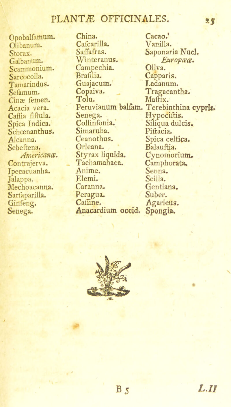 *5 Opobalfamum. China. Cacao.’ Olibanum. Cafcarilla. VaniJIa. Storax, SalTafras. Saponaria Nuci, Galbanum. Winteranus. Eurofoece, Scammonium. Campechia. Oliva. Sarcocolla. Brafilia. Capparis. Tamarindus. Guajacum.' Ladanum. Sefamum. Copaiva. ^ Tragacantha. Cinae femen. Tolu. Maftix. Acacia vera. Peruvianum balfam. Terebinthina c’ Caflia fiftula. Senega. Hypociftis. Spica Indica.* Collinfonia.' Siliqua dulcis^ Schoenanthus. Simaruba. Piftacia. Alcanna. Ceanothus. Spica celtica. Sebeftena. Orleana. Balaultia. Americanos. Styrax liquida. Cynomorium, Contrajerva. _ Tachamahaca. Camphorata. Ipecacuanha. Anime. Senna. Jalappa. Elemi. Scilla. Mechoacanna. Caranna. Gentiana. Sarfaparilla. Peragua, Suber. Ginfeng. CalTme. Agaricus. Senega. Anacardium occid. Spongia,