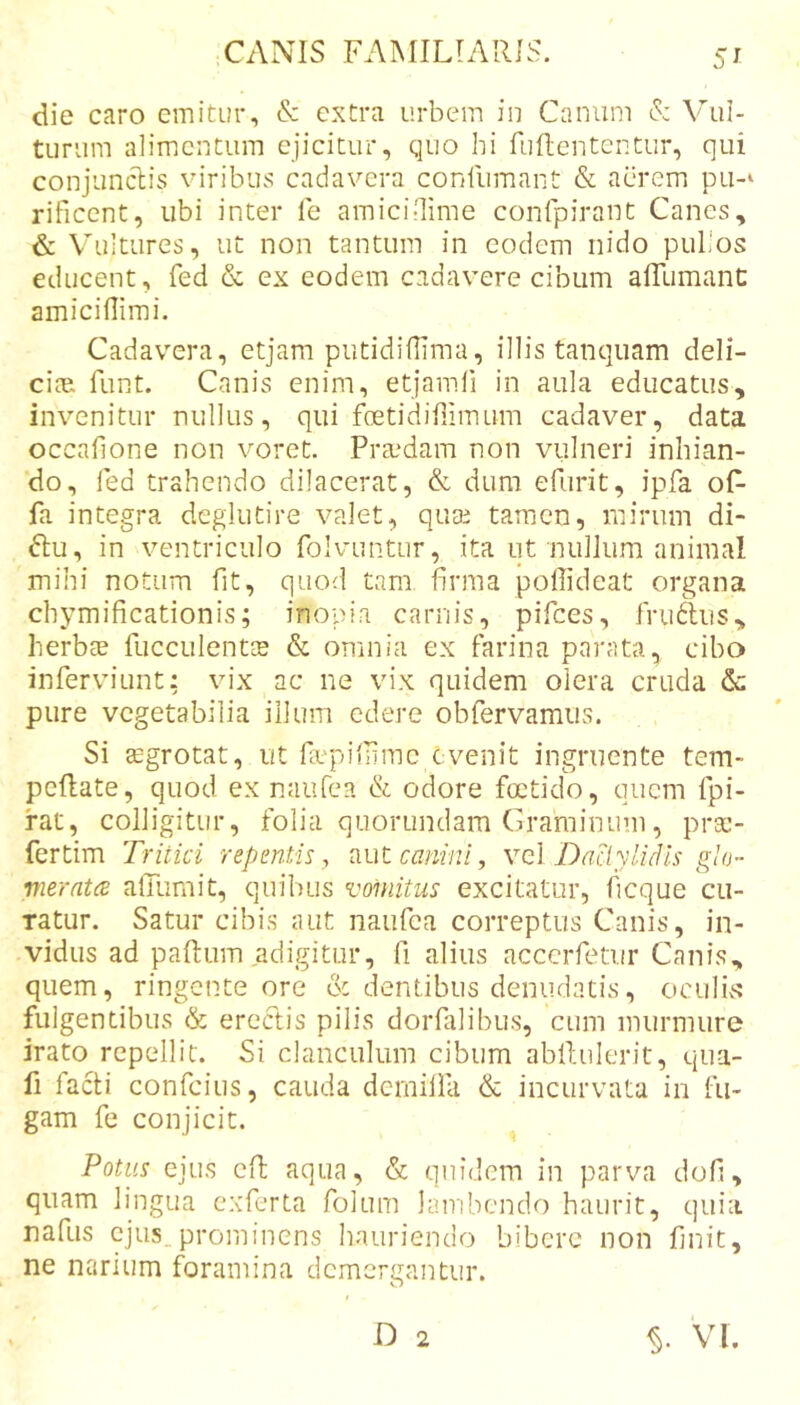 5^ die caro emitur, &amp; extra urbem in Canum &lt;5: Mul- tiiriim alimentum ejicitur, quo hi fuRententur, qui conjunclivS viribus cadavera conUimant &amp; aerem pLi-‘ rificent, ubi inter fe amicinime confpirant Canes, &amp; Vultures, ut non tantum in eodem nido pullos educent, fed &amp; ex eodem cadavere cibum alTumanC amiciflimi. Cadavera, etjam putidiflima, illis tanquam deli- cice. funt. Canis enim, etjamli in aula educatus, invenitur nullus, qui foetidiUimum cadaver, data occafione non voret. Praedam non vulneri inhian- do, led trahendo dilacerat, &amp; dum efurit, ipfa oF fa integra deglutire valet, quEE tamen, mirum di- ftu, in ventriculo folvuntur, ita ut nullum animal mihi notum fit, quod tam, firma pofiideat organa chymificationis; inopia carnis, pifees, .friRlus, herbge fucculentcB &amp; omnia ex farina parata, ciba inferviunt: vix ac ne vix quidem olera cruda &amp;: pure vegetabilia illum edere obfervamus. Si ffigrotat, ut fiepifiime evenit ingruente tem- pcRate, quod ex naufea &amp; odore foetido, quem fpi- rat, colligitur, folia quorundam Graminum, prsc- fertim Tritici repmt.is y canini, yq] Daciylidls gia- •nieratce afilimit, quibus vomitus excitatur, ficque cu- ratur. Satur cibis juit naufea correptus Canis, in- vidus ad paftum adigitur, fi alius accerfetur Canis, quem, ringente ore &amp; dentibus denudatis, oculus fulgentibus &amp; erectis pilis dorfalibus, cum murmure irato repellit. Si clanculum cibum abldulerit, qua- fi facti confeius, cauda derniiia &amp; incurvata in fu- gam fe conjicit. ^ Potus ejus cR aqua, &amp; quidem in parva dofi, quam lingua exferta folum lairibcndo haurit, quia nafus cjus_prominens hauriendo bibere non finit, ne narium foramina demergantur. O