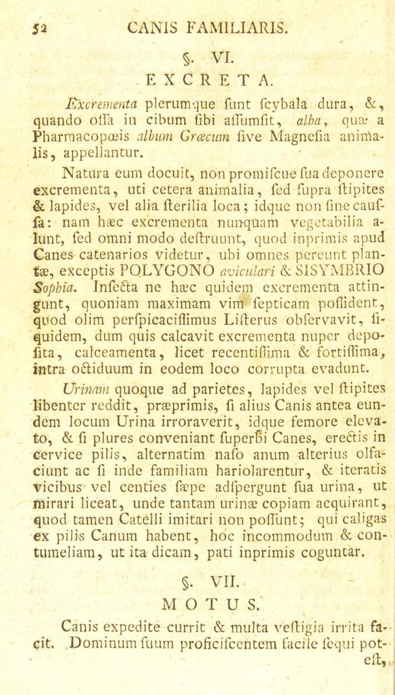 §. VI. EXCRETA. Excrementa plerumque funt fcybala dura, quando olla in cibum libi alFumfit, alha^ qua: a Pharmacopoeis album Grcecum five Magncfia aninla- lis, appellantur. Natura eum docuit, non promifciie fua deponere excrementa, uti cetera animalia, fed fupra Ibipites &amp; lapides, vel alia flerilia loca; idquc non (inecauf- la: nam h*c excrementa nunquam vegetabilia a- lunt, fed omni modo deftruunt, quod inprimis apud Ganes catenarios videtur, ubi omnes pereunt plan- tae, exceptis PQLYGONO aviculari &amp; SISYMBRIO Sophia. Infefla ne heee quidem excrementa attin- gunt, quoniam maximam vim fepticam pofiident, quod olim perfpicacillimus Lifterus obfervavit, li- quidem, dum quis calcavit excrementa nuper depo- fita, calceamenta, licet recentifiima &amp; fortiffima, intra oftidiium in eodem loco corrupta evadunt. Urinam quoque ad parietes, lapides vel llipites libenter reddit, praeprimis, fi alius Canis antea eun- dem locum Urina irroraverit, idque femore eleva- to, &amp; fi plures conveniant fuperBi Canes, ereftis in cervice pilis, alternatim nafo anum alterius olfa- ciunt ac fi inde familiam hariolarentur, &amp; iteratis vicibus'vel centies faepe adfpergunt fua urina, ut mirari liceat, unde tantam urina? copiam acquirant, quod tamen Catdli imitari non polTunt; qui caligas ex pilis Canum habent, ho'c incommodum &amp; con- tumeliam, ut ita dicam, pati inprimis coguntar. §. VII. MOTU S.' \ Canis expedite currit &amp; multa vefiigia irrita fa- cit. ,Dominum fuum proficifeentem facile fequi pot- eR,