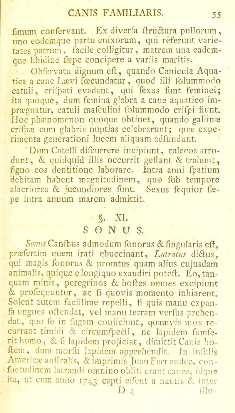 fimum confervant. Ex diverfa fi:ru6lura pullorum , uno eodemque partu enixorum, qui referunt varie- tates patrum, facile colligitur, matrem una eadem- qiic libidine fiepc concipere a variis maritis, Obfervatu dignum eft, quando Canicula Aqua- tica a cane Lsevi foecundatur, quod illi folummodo catuli, crifpati evadant, qui fexus funt feminei; ita quoque, dum femina glabra a cane aquatico im- praegnatur, catuli inafculini folummodo crifpi fiunt. Hoc pha?nomcnon quoque obtinet, quando gallinae crilpie cum glabris nuptias celebrarunt; qirv expe- rimenta generationi lucem aliquam adfundunt. '• 'Dum Catelli difcurrere incipiunt, calceos arro- dunt, &amp; quidquid illis occurrit gefiant &amp; trahunt, figno eos dentitione laborare. Intra anni fpatium debitam habent magnitudinem, quo fub tempore alacriores &amp; jucundiores funt. Sexus fequior fas- pe intra annum marem admittiu §. XI. SONUS. Canibus admodum fonorus &amp;fingularis efl, praifertim quem irati ebuccinant. Latratus diftus, qui magis fonorus &amp; promtus quam alius cujusdam animalis, quique e longiquo exaudiri poteft. Eo, tan- quam minis, peregrinos &amp; hoftes omnes excipiunt &amp; profequLintur, ac fi quovis momento inhiarent. Solent autem facillime repelli, fi quis manu expan- fa ungues ofiendat, vel manu terram verfus prehen- dat, quo fc in fugam conjiciunt, quamvis mox re- currant timidi &amp; circumfpe^H,. ne lapidem fumfe- nthomo, &amp; fi lapidem projiciat, dimittit Canis ho- ftem, dum morfu lapidem apprehendit. In infulis AmenccE auflralis, &amp; imprimis Juan Fernar.dez, con- fuctudinem latrandi omnino obliti erant canes, idcpie ita, ut cum anno 1743 capti eilbnt a nautis &amp; inter D 4 illo-