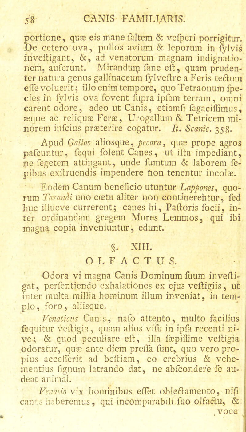 portione, quas eis mane faltem &amp; vefperi porrigitur. De cetero ova, pullos avium &amp; leporum in fylvis invcftigant, &amp;, ad venatorum magnam indignatio- nem, auferunt. Mirandui-p fane ell, quam pruden- ter natura genus gallinaceum r3lven:re a Feris teftum elFe voluerit; illo enim tempore, quo Tetraonum fpe- cies in fylvis ova fovent fupra ipfam terram, omni carent odore, adeo ut Canis, etiamfi fagaciffimus, seque ac reliquas Ferae, Urogallum &amp; Tetricem mi- norem infcius praeterire cogatur. It. Scanic. 358- Apud Gallos aliosque, pecora, quae prope agros pafcuntur, fequi folentCanes, ut ifla impediant, ne fegetem attingant, unde fumtum &amp; laborem fe- pibus exftruendis impendere non tenentur incolae. ' Fodem Canum beneficio utuntur Lappo?ies, quo- rum TaranM uno coetu aliter non continerentur, fed huc illucve currerent; canes hi, Paftoris focii, in- ter ordinandam gregem Mures Lemmos, qui ibi magna copia inveniuntur, edunt. §. XIII. OLFACTUS. Odora vi magna Canis Dominum fuum invefli- gat, perfcntiendo exhalationes ex ejus veftigiis, ut inter multa millia hominum illum inveniat, in tem- plo, foro, aliisque. renaticiis Canis, nafo attento, multo facilius fequitur veftigia, quam alius vifu in ipfi recenti ni- ve; &amp; quod peculiare efl, illa faspiflime veftigia odoratur, quEe ante diem preffa funt, quo vero pro- pius accefferit ad bciliam, eo crebrius &amp; vehe- mentius fignum latrando dat, ne abfcondere fe au- deat animal. Venatio vix hominibus effet ohleftamento, nifi canes haberemus, qui incomparabili fuo olfadu, &amp; ^ voce