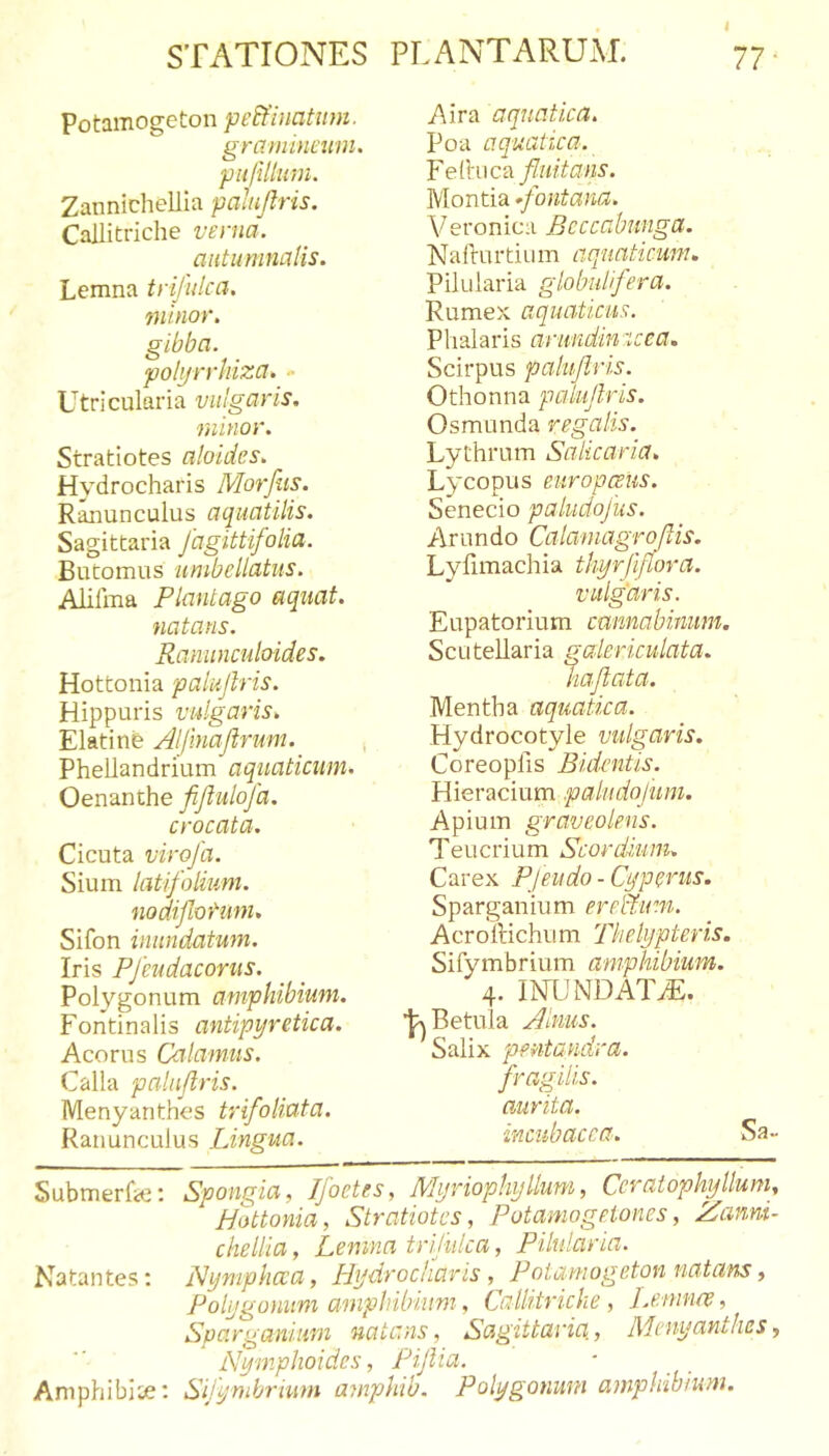 Potamogeton pe&amp;inatum. graminami. puftlium. Zannichellia pahjlris. Callitriche verna. autumnalis. Lemna trifulca. minor, gibba. polijrrhiza* - Utricularia vulgaris, minor. Stratiotes aloides. Hydrocharis Morfiis. Ranunculus aquatilis. Sagittaria Jagittifolia. Butomus umbellatus. Alilma Plantago aquat. natans. Ranunculoides. Hottonia palujlris. Hippuris vulgaris. Elatinfe Alfmaflrum. ^ Phellandrium aquaticum. Oenanthe fiflulofa. crocata. Cicuta virofa. Sium latifolium. nodifiof-uni. Sifon inundatum. Iris Pfeudacorus. Polygonum amphibium. Fontinalis antipyretica. Acorus Calamus. Calla palnflris. MenyantLes trifoliata. Ranunculus Lingua. Aira aquatica. Poa aquatica. Yei\v\c?L fluitans. Montia ^fontana. Veronica Bcccabunga. Naflu rtiu m aquaticum. Pilularia globulfera. Rumex aquaticus. Phalaris arundin tcea. Scirpus palufiris. Othonna palujlris. Osmunda regalis. Lythrum SaUcaria. Lycopus europceus. Senecio paludojus. Arundo Calamagrqftis. Lyfimachia thyrjlflora. vulgdris. Eupatorium cannabinum, ScLitellaria gakriculata. liafata. Mentha aquatica. Hydrocotyle vulgaris. Coreoplis Bidentis. Hieracium paludojum. Apium graveolens. Teucrium Scordium. Carex Pjeudo - Cyperus. Sparganium ere&amp;um. Acrollichum Thelypteris. Sifymbrium amphibium. 4. INLINDATiE. Betula Alnus. * Salix pentandra. fragilis, aurita. incubacca. Sa- Submerfic: Spongia, Ifoetes, Myriophyllum, Ccraiophyllum, Hottonia, Stratiotes, Potamogelones, Zanni- chellia , Lemna trijuka, Pilularia. Natantes: Nyntphcca, Hydrocharis, Poiamogeton natans, Polygonum amphibium , Callitriche, Lenmre, Sparganium natans, Sagittaria, Menyanthes, Nymphoides, Pijlia. Aniphibite: Sijymbriwn atnphib. Polygonum amphibium.