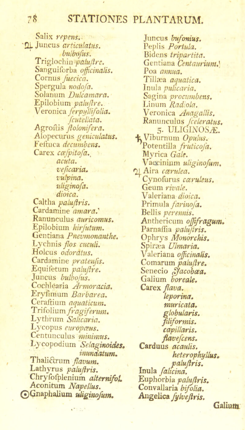 Salix repens;^ ‘Ili. Juncus artictilatns. bmbofus. Triglochin ^palujlrc. Sanguiforba o^cinalis. Cornus Juecica. SperguJu nodofa. Solanum Dulcamara. Epilobium palujlre. Veronica ferpyllifoUa. fcutcllata. .Agroilis 'jlolonifera. Alopecurus geniculatus. Felluca decumbens. Carex ccefpitofa.^ acuta, vejicaria^ vulpina, uliginofa. dioica. Caltha palujlris. Cardamine amara.' Ranunculus auricomus. Epilobium hirfutum. Gentiana Pnevmonantlie. Lychnis flos cuculi. •Holcus odoratus. Cardamine pratenfis. .Equiletum palujlre. Juncus bitlbofus. Cochlearia Armoracia. Eryilmum Barbare a. Ceraftium aquaticum. Tri foliu m fragiferum. Lythrum Salicaria. Lycopus europeeus. Centunculus minimus. Lycopodium Selaginoides, inundatum. Thaliftrum flamm. Lathyrus palujlris. Chryfolplenium altermJvL Aconitum Napellus. 0Gnaphalium uliginofum. Juncus bufonius. Pe|)lis Portula. Bidens tripartita. Gentiana Centaurium,] Poa annua. Tilloea aquatica. Inula pulicaria. Sagina procumbens. Linum Radlola. Veronica Anagallis, Ranunculus Jceleratus, 5- ULIGINOS/E. Viburnum Opulus. Potentilla fruticofa. Myrica Gale. Vaccinium uliginofum, &lt;l|Aira ccerulca. Cynofurus caruleus. Geum rivale. Valeriana dioica. Primula farinojd. Bellis perennis. Anthericum ojfifragum» ParnalPia palujlris. Ophrys Monorchis. Spiraea Ulmaria. Valeriana ojfcinatis. Comarum palujlre. Senecio 0acobcea, Galium horeale. Carex Jlava. leporina, muricata, globularis, filiformis, capillaris, flavefcens. Carduus acaulis. heterophyllus, palujlris. Inula falicina. • Euphorbia palujlris, Convallaria bijolia. Angelica fylveftris. Galium.