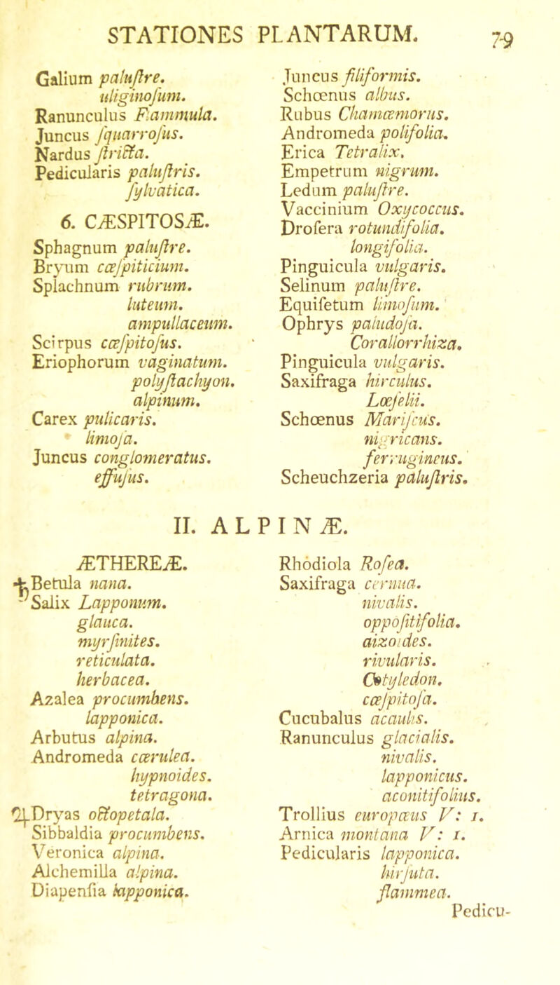 7-9 Galium palujlre. uligiiiojiim. Ranunculus F.ammula. Juncus fqnarrofus. Nardus Jhicia. Pedicularis paliijlris. fylvatica. 6. Ci?:SPITOSiT. Sphagnum palujlre. Bryum ccefpiticium. Splachnum rubrum. luteum, ampullaceum. Scirpus ccefpitofus. Eriophorum vaginatum. polyjlachyon. alpinum. Carex pulicaris. limoja. Juncus conglomeratus, effujus. Juncus filiformis. Schoenus albus. Rubus Chamceniorus. Andromeda polifolia. Erica Tetralix, Empetrum nigrum. Ledum palujlre. Vaccinium Oxijcoccus. Drofera rotundi folia, longifolia. Pinguicula vulgaris. Selinum paluflre. Equifetum liniafum. Ophrys paiudofa. Corallorrhiza, Pinguicula vulgaris. Saxifraga hirculus. Loefelii. Schoenus Marifcus. nigricans, ferrugineus. Scheuchzeria paluflris. II. ALPINA. JETHEREJE. •t Betula nana. Salix Lappomm. glauca, niyrjinites. reticulata, herbacea. Azalea procumbens. lapponica. Arbutus alpina. Andromeda ccerulea. liypnoides. tetragona. ^Dryas oBlopetala. Sibbaldia procumbens. Veronica alpina. Aichemilla alpina. Diapenfia kipponica. Rhodiola Rofea. Saxifraga cernua. nivalis. oppofitfolia. aizoides. rivularis. Cotyledon. ccejpitojd. Cucubalus ac aulis. Ranunculus glacialis. nivalis, lapponicus. aconitifolius. Trollius europeeus V: i. Arnica montana V: i. pedicularis lapponica. hirjuta. flammea. Pedicu-