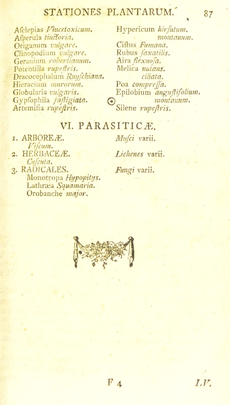 % Afclcpias T'l.ncetoxicum. Afperula tinftorin. Origanum vulgare. Clinopodiiim vulgare. Geraniuni robertianum. Potenti lia rupe Uris. Dracocephalum Ruyfchuina. Hieraciiun murorum. Globularia vulgaris. Gypfophila fajVigiata. Artemiiiu rupejiris. Hypericum hlrfutuin. montanum. Cilhis Fumana. Rubus faxatilis. Aira flexuofa. Melica nutans. ciliata. Poa comprejja. Epilobium angnflifolium. montanum. Silene rupejiris. VI. PARASITICAE. 1. ARBORE/E. Mufci varii. Vifciim. 2. HERBACEiE. Lichenes varii. Cufcuta. 3. RADICALES. Fungi varii. Monotropa Hypopitijs. Lathrsea Squamaria. Orobanche major. LK