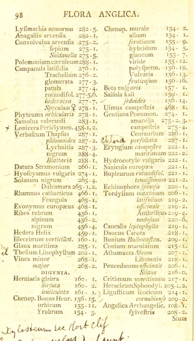 9« Lyfimacllia nemorum 28- - 5. ' Anagallis arvenfis 282-1. Convolvulus arvenfis 275-2. fepium 275-T. Soldanella 275.5. Polemonium ca;ruleuin288 -1. Campanula latifolia 276-1. Trachelium 276 - 2. glomerata 277 - 3. patula 277 - 4. rotuiidifol. 277-5,6. hederacea 277-7. Speculum ^ 278 -1. Phyteuma orbicularis 278-1. Samolus valerandi 283-1. y Lonicera Periclymeii. 458-1,2. VerhafcLim Thapfus 287 -1. phlomoides 287-2. Lychnitis 287-3. nigrum 288-4. Blattaria 288-1. Chenop. murale album fcrotinnm bybridum glaucum viride t.v4- 2. 154. I. ^55- 154- 1= polyfperm. Vir ■ ivaria fruticofum Beta vulgaris Salfola kali fedoides Ulmus campellris Gentiana Pneumon. amareila campellris 275-4 . Centaurium 286-1. per foliata 287-1. Efyngium campe/Ire 222 -1. Hydrocotyle vulgaris 222-1. DD- 155- ^2. 156- 18. 136-13- 156- 16. 157- I- 1.39- 1- 156-14. 468- 1. 274- 1. 275-2, 3- Hyofcyamus vulgaris 274-1. Bupleurum robn;nf//b/. 221-1. Solanum nigrum 265-4. tcnuijjhmmi 221-2. ' Dulcamara265-i,2. Ecliinophoray^imoya 220-1. Rhamnus catbarticus 466-1. 'TovdyYinm. maximum 206-1. Frangula 465-1. latifolium 219-2. Evonymus europseus 468-1. ojficinale 219-2. Ribes rubrum 456-1. Anthrifcusa 19-4. al pinum 456-2. nodofmn 220-6. nigrum 456-4. Caiicalis leptopkylla Hedera Helix 459-1. Daucus Carota Illecebrum wr/fd//t7f. 160-1. l^oxnVim Bulbocajlan. 285-1. Conium maculatum 1; . Glaux maritima -oj-a.. iX ThefiumLinopliyllum 202-1, Athamanta 268-1. 268-2. Herniaria glabra Vinea minor major 160 - r. 160- 2. lenticulata 161 - i. Chenop. Bonus Henr. 156-15. urbicum 155-ii. Vrubrum 154- 3. 219- r. 218-1. 209 -1. 215- 1. 207-1.’ 218-1. 206-1. -JC* Libanotis Peucedanum ojfcinale Crithmum maritimum 217-1. H er aci eu mS ph on d y 1. 205 -1,2. -y Ligufticum Icoticum 214-1. ^ cornuhienje 209 - 2. Angelica Archungelic. 108 -1. fylveftris 208 - 2. Sium JrkiAA i CMO