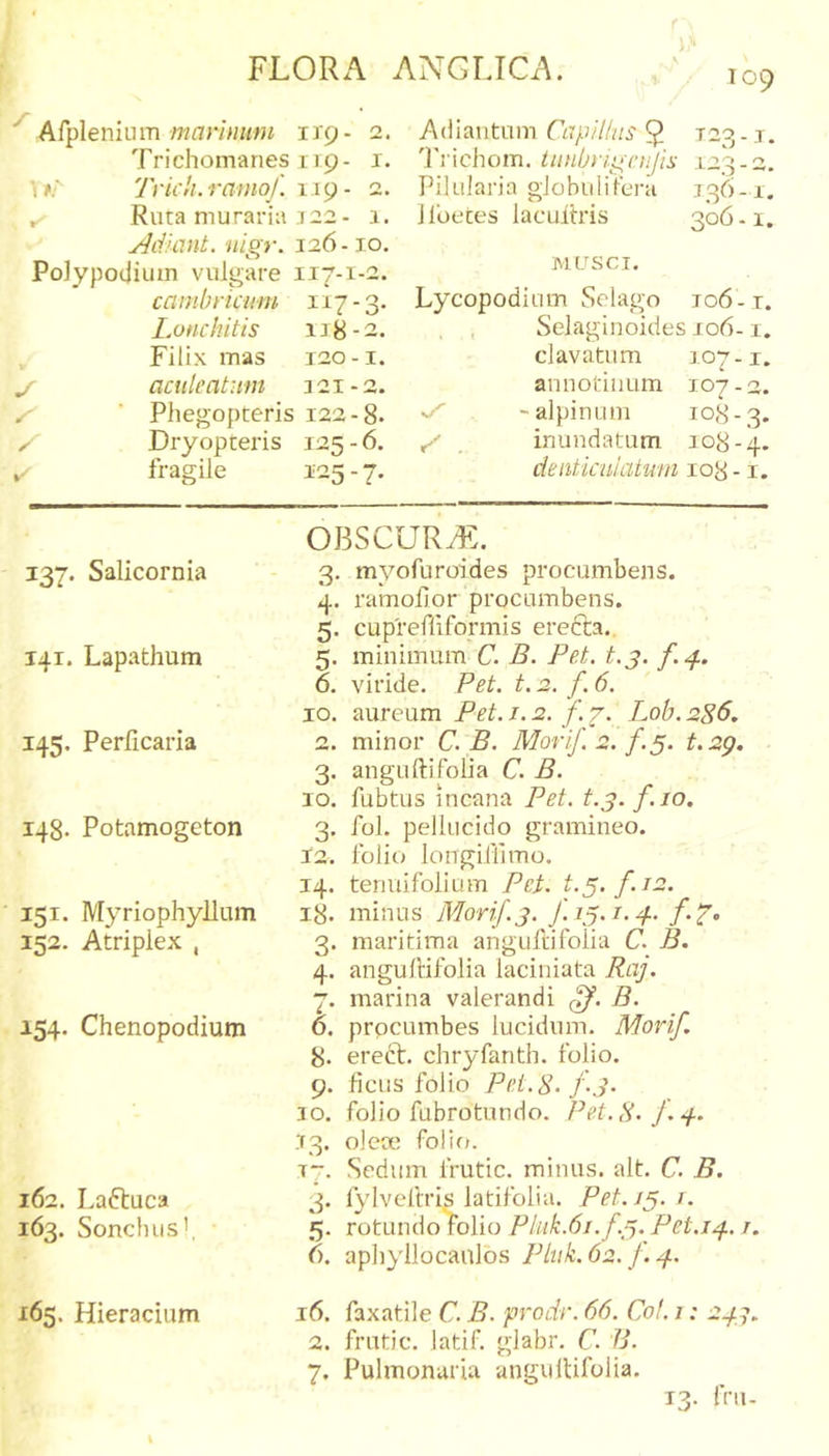 \ ^ V r Afpleniiim wfifr/WMWi irg- 2. Trichomanes iip- i. \t.' Trich.ramof. 119- 2. . Ruta muraria 722- 1. Adlant. nigr. 126-10. Polypocjium vulgare 117-1-2. cambricum 117-3. Lonchitis 138-2. Filix mas 120-i. aculeatum 321-2. Phegopteris 122-8. Dry opteris 125 - 6. fragile 125 - 7. 109 Adiantum Capilins $ T23 - 3 . Trichom. iimbrigcnjis 123-2. PiiLilaria globuliierii 336-1. llbetes laculh'is 306-1. MUSCI. Lycopodium Selago 106-t. , , Selaginoides 306-1. clavatum 107-x. annotinum 107-a. vr'' . -alpinum 108-3. ^ _ inundatum 108-4. cknticniaium 108-1. 137. Salicornia 141. Lapathum 145. Perficaria 148. Potamogeton 151. Myriophyllum 152. Atriplex , 154. Chenopodium 162. Laftuca 163. Sonchus’, 165. Hieracium OJ3SCUR^:. 3. myofuroides procumbens. 4. ramolior procumbens. 5. cupreffiformis erefta., 5. minimum C. B. Fet. t.j. f^. 6. viride. Fet, t. 2. f. 6. IO. aureum Fet.1.2. f.7. Lob.286, 2. minor C. B. Morif. 2. f.5. t.2g. 3. anguftifolia C. B. IO. fubtus incana Fet. t.g.f.jo. 3. fol. pellucido gramineo. 12. folio longifllmo. 14. tenuifolium Fet. t.^. f.12. 18. minus Morif.j. /.7. 3. maritima anguftifolia C. B. 4. angulHfolia laciniata Raj. 7. marina valerandi B. o. procumbes lucidum. Morif. 8. ereft. chryfanth. lolio. 9. ficus folio Fet.S. f-3- 30. folio fubrotundo. Pet.S- f.-t. 33. olete folio. 37. Sedum frutic. minus, ait. C. B. 3. fylveftris latifolia. Fet.ifj.i. 5. rotundoWio Fluk.6i.f.fj. Fet.i.^. r. 6. aphyilocaulos Fhik.62. f.4. 16. faxatile C. B. prodr. 66. Cot. 1: 247. 2. frutic. latif. glabr. C. B. 7. Pulmonaria angullifolia. 13. frii.