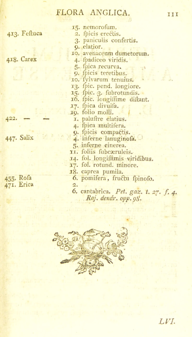 418. Carex 422. — 447. Salix 455. Rofa 471. Erica FLORA ANGLICA. m 15. ncmorofum. 3. paniculis confertis. 9. elatior. IO. avenaceum dumetorum. 4. ipadiceo viridis. 5. (pica recurva. ,1 9. fpicis teretibus. 10. fylvarum tenuius. 13. fpic. pend. longiore. 15. fpic. 3. fubrotundis. 16. fpic. Jongiifime diilant. 17. fpica divulfa. 19. folio molli. I 1. palufrre elatius. 4. fpica multifera. 9. (picis compaftis. 4. inferne lanuginofa. * 5. inferpe cinerea. 11. foliis fubcseruleis. 14. fol. longifltmis viridibus. 17. fol. rotund. minore. 18. caprea pumila. 6. pomifera, fruftu fpinofo. 2. 6. cantabrica. FeL gaz. t. 27. f, 4. Raj, dendr. LVI.